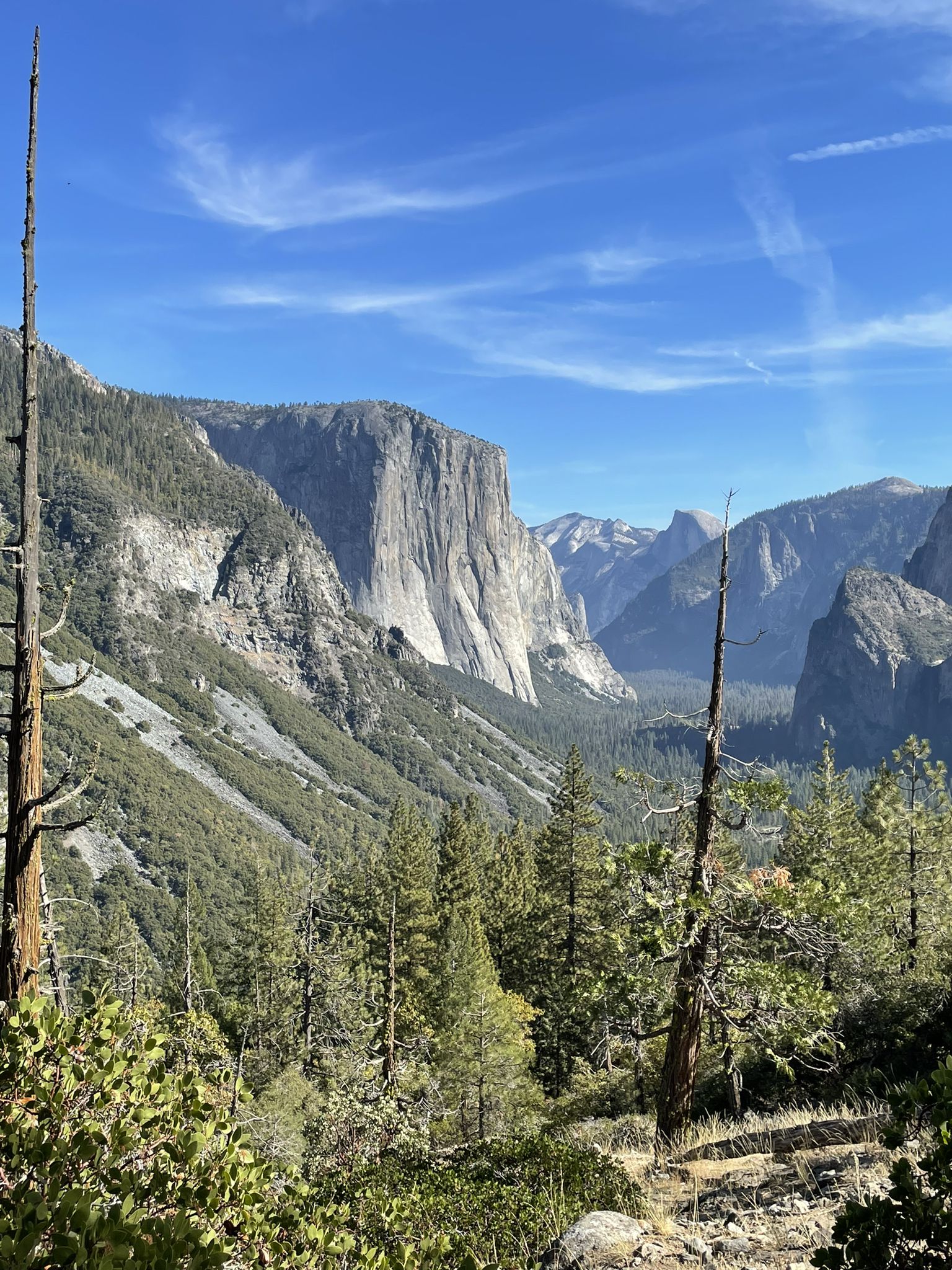 Valley view with towering rock formations, green trees, and a bright blue sky. - Inspiration Point Trail