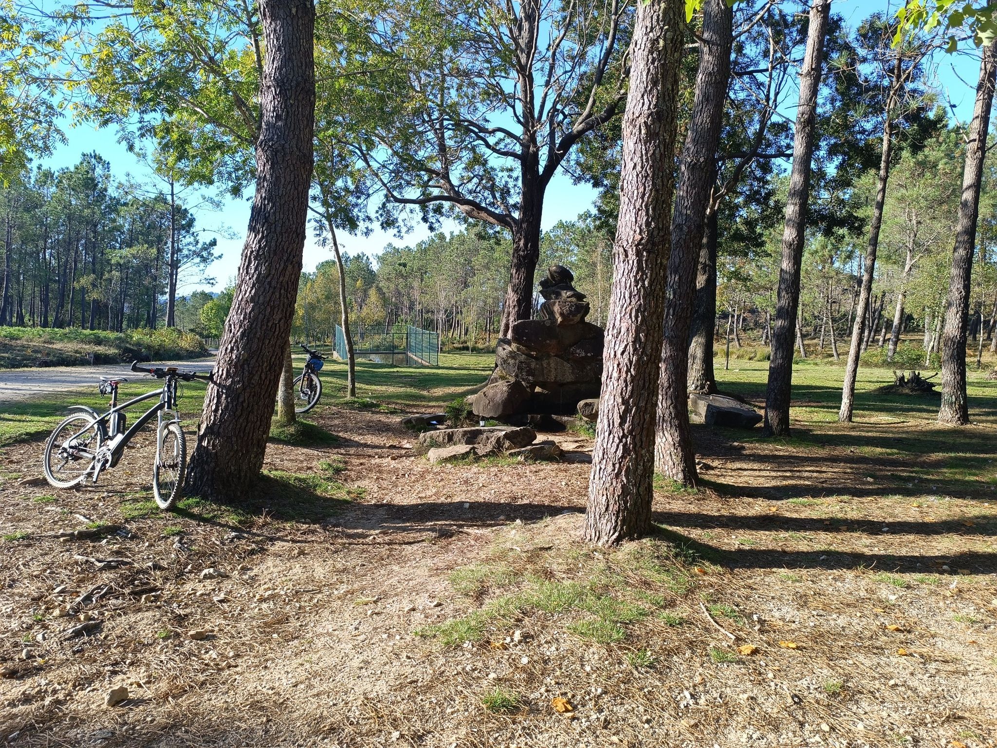 galiñeiro