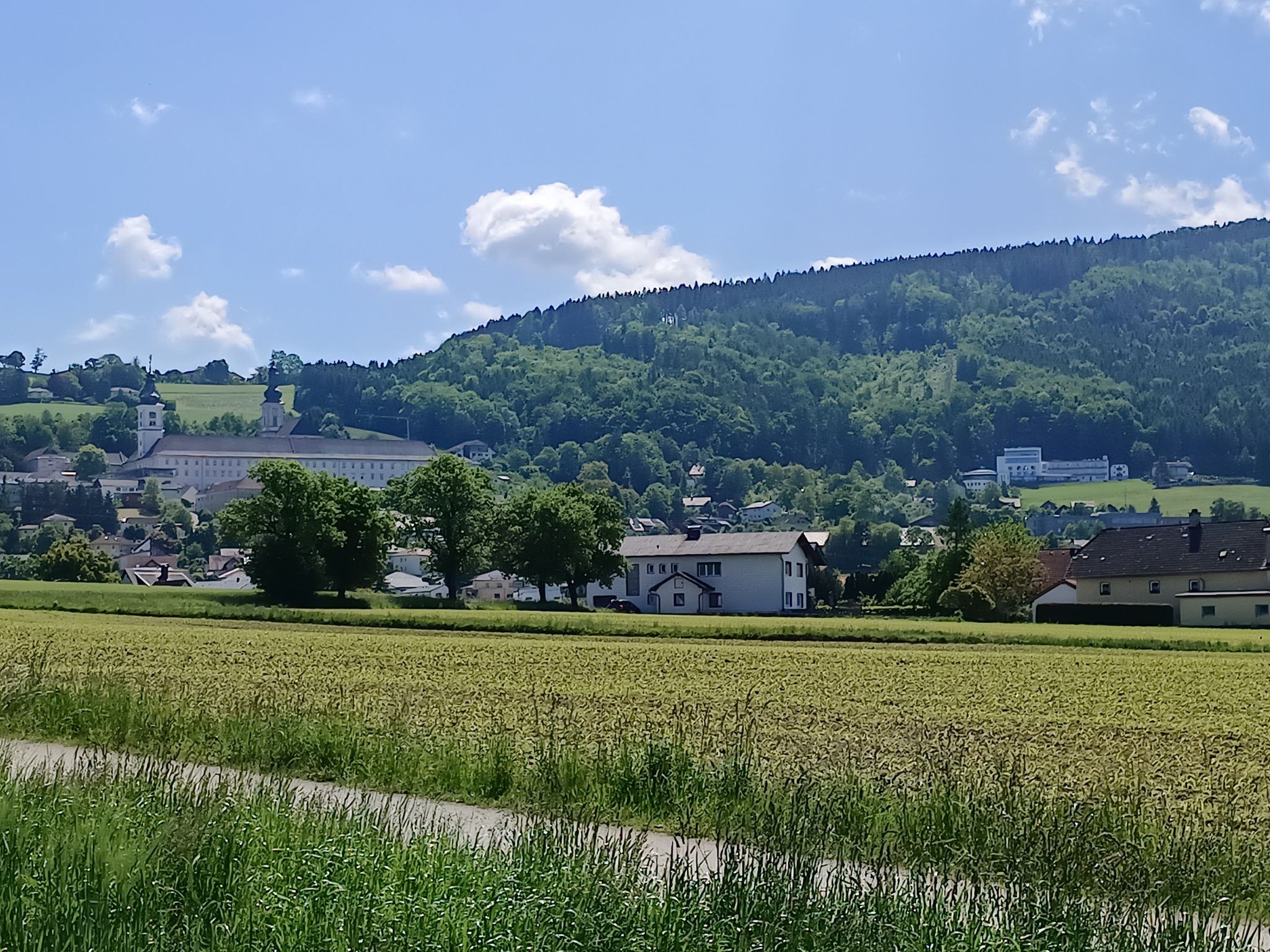 Schlierbach