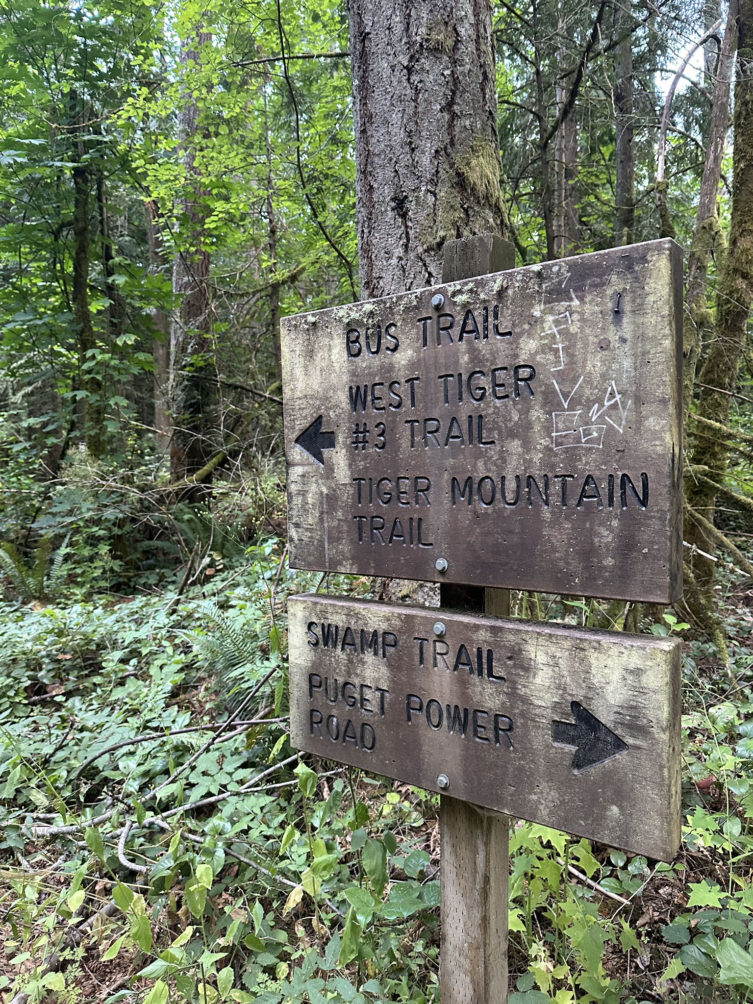 Wooden trail signs in a dense green forest, pointing directions. - High School Trail – Around the Lake Trail loop from Issaquah High School