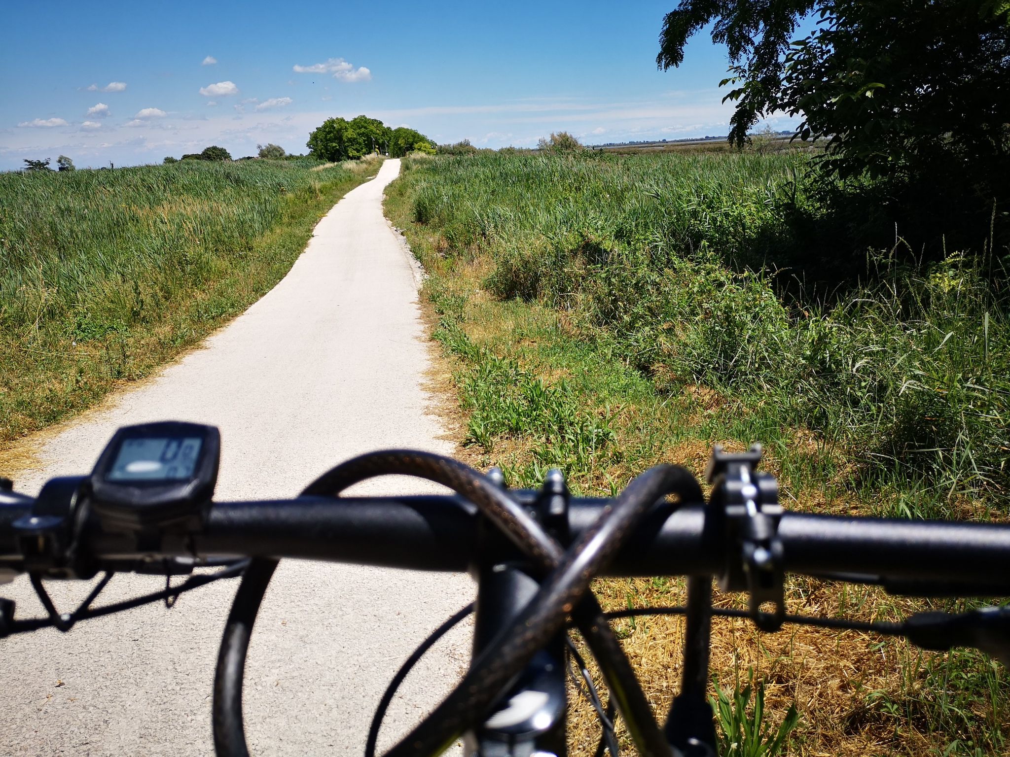test trekkingrad nabenschaltung Zündapp Green 7.7 E-Trekkingrad Herren 28