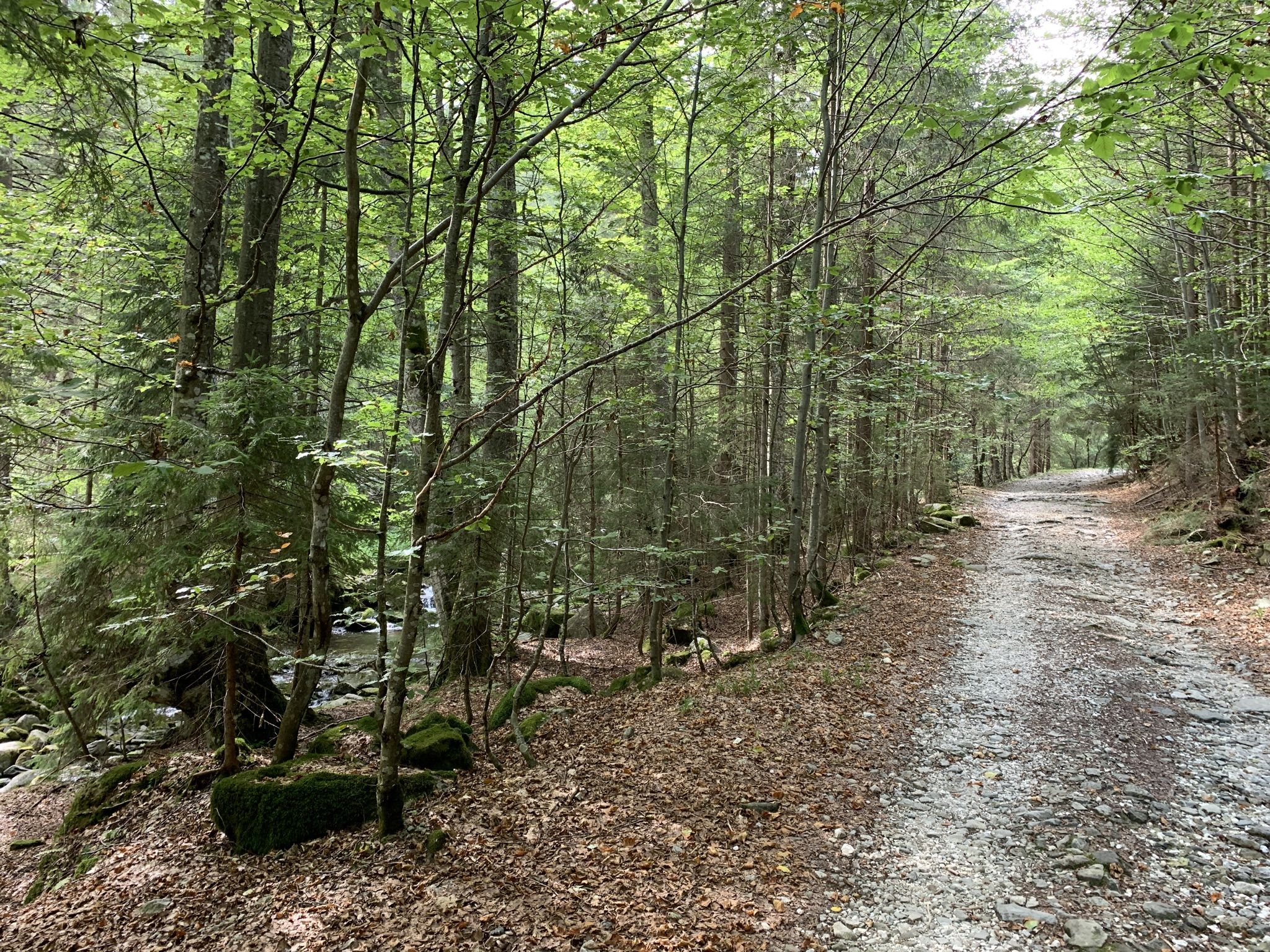 Follow the road and the stream. 