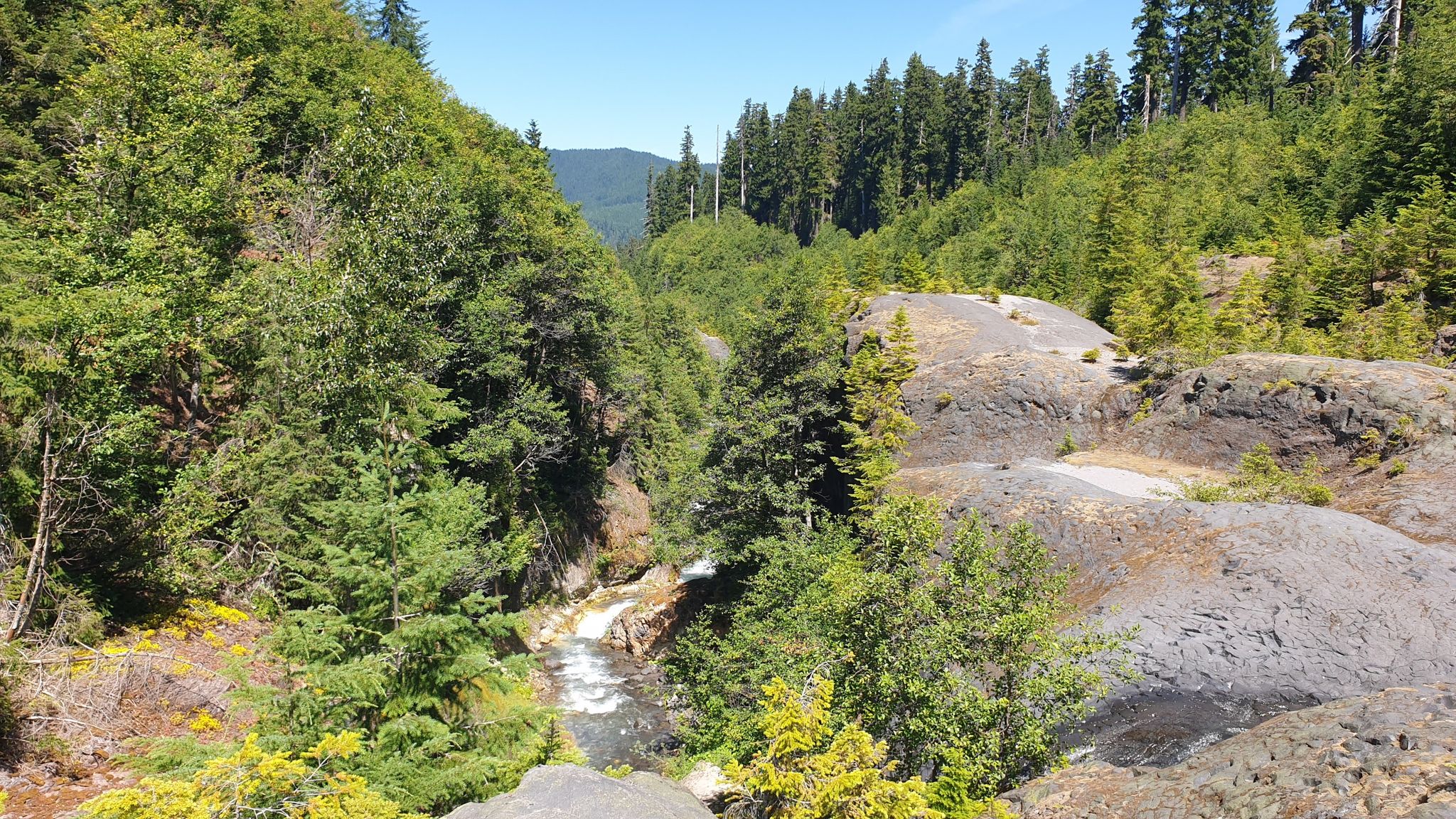 River flowing through a forested canyon with rocky banks, under a clear sky. - Lava Canyon Trail