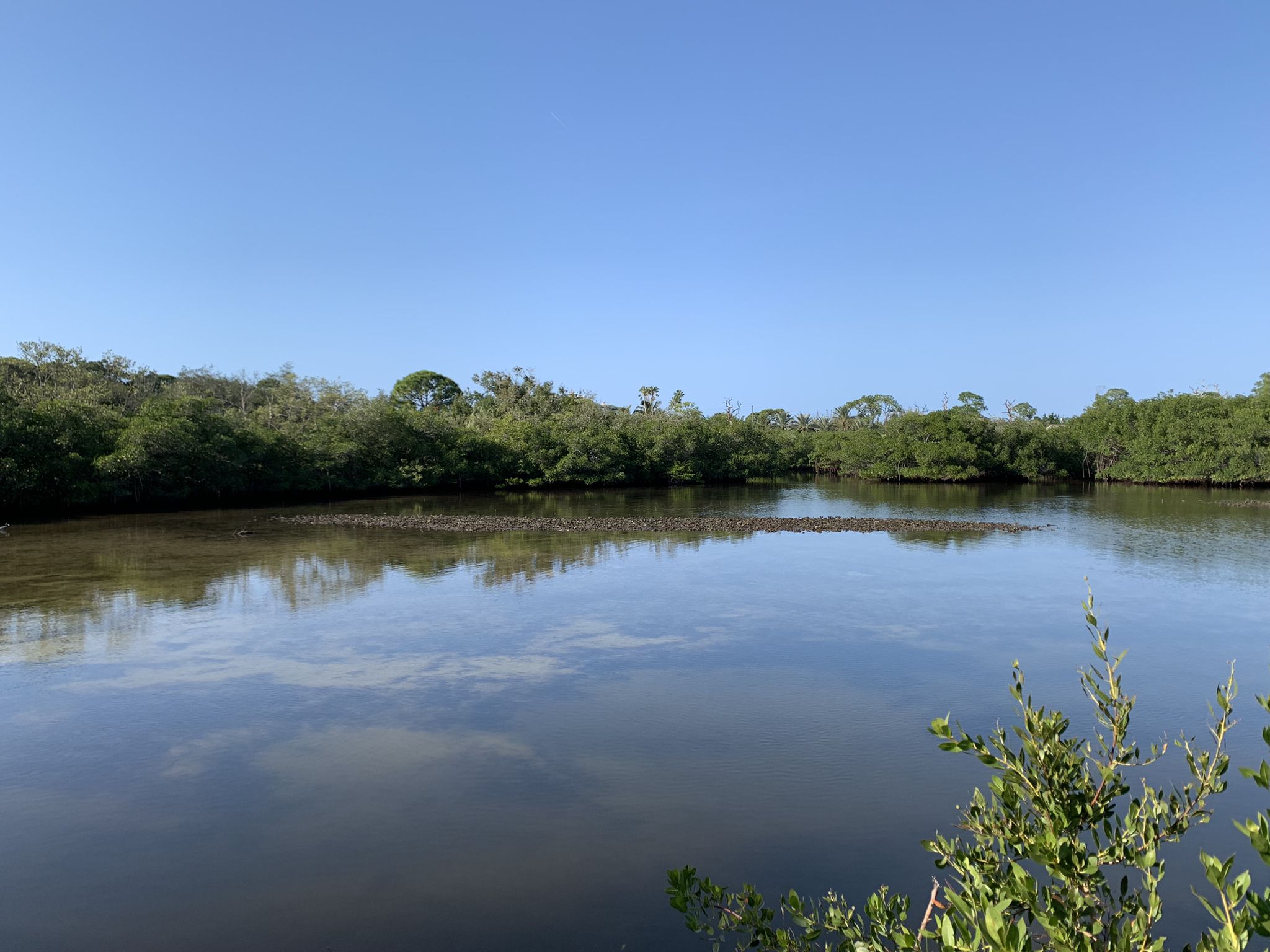 Calm water reflecting a clear sky, surrounded by lush green trees. - Key Vista Park and Coastal Anclote Trail Loop