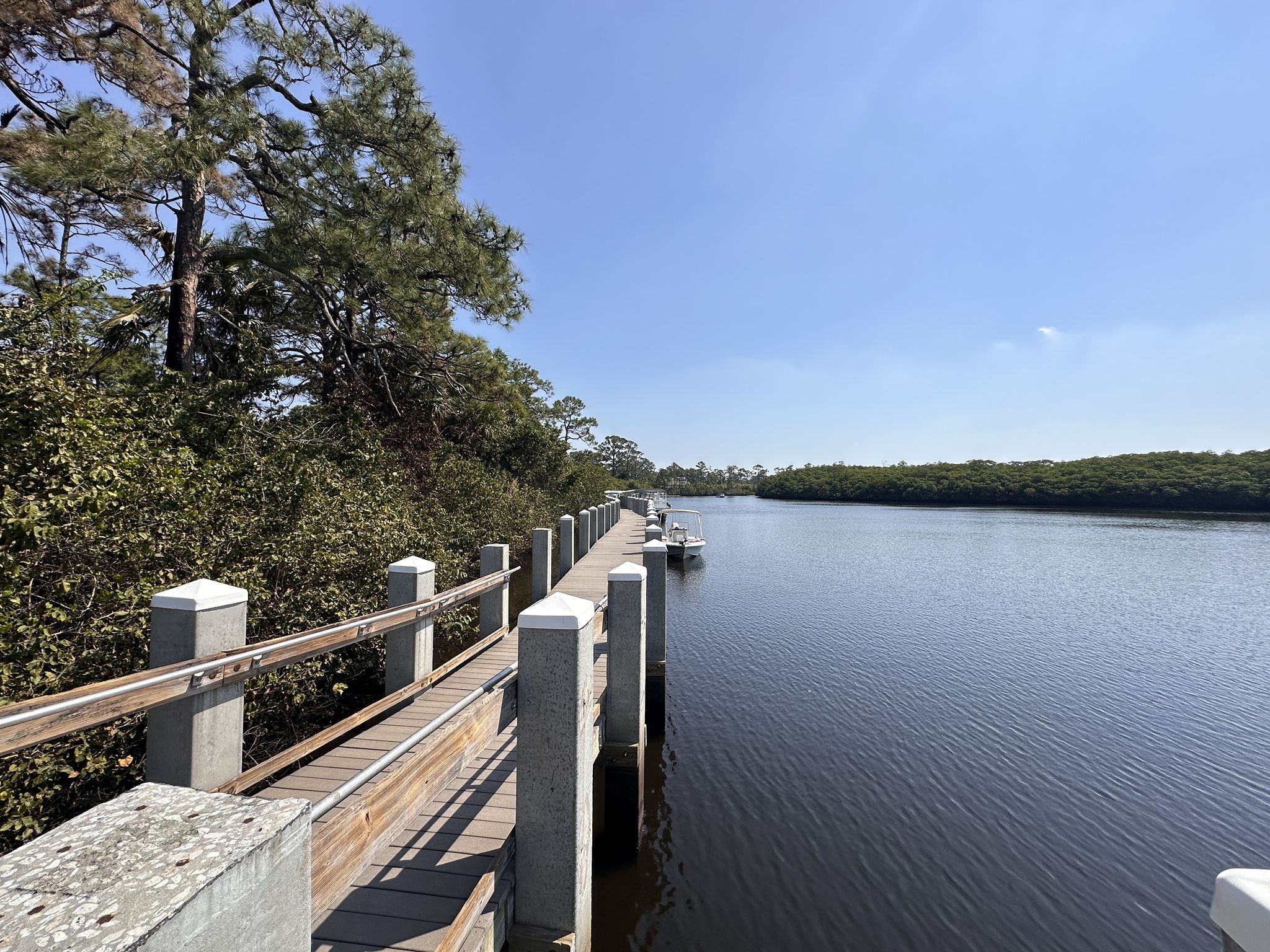 A long wooden dock extends into a calm river lined with dense green trees. - Gator Alley Wildlife Viewing loop from Tequesta