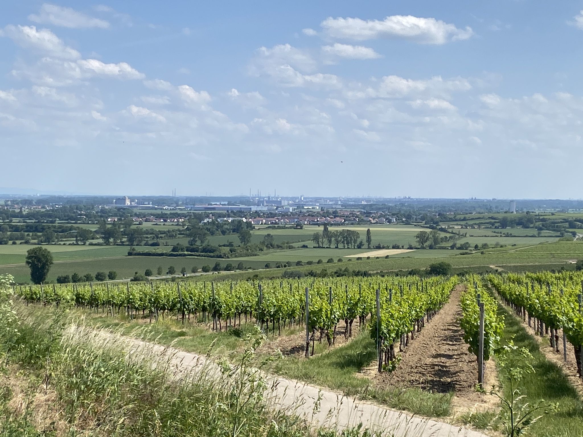 Blick auf Germersheim