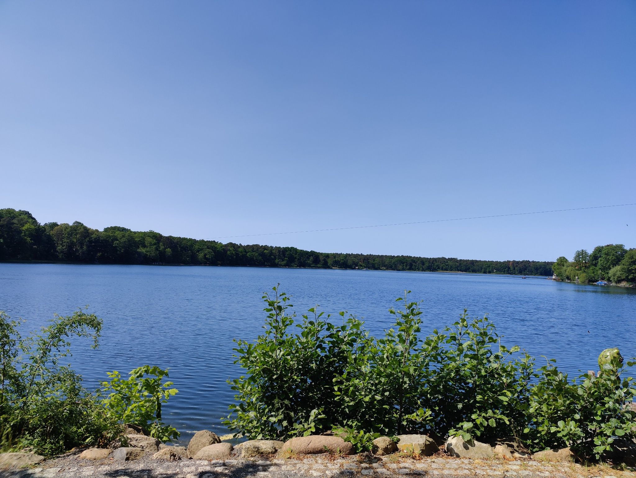 Straussee