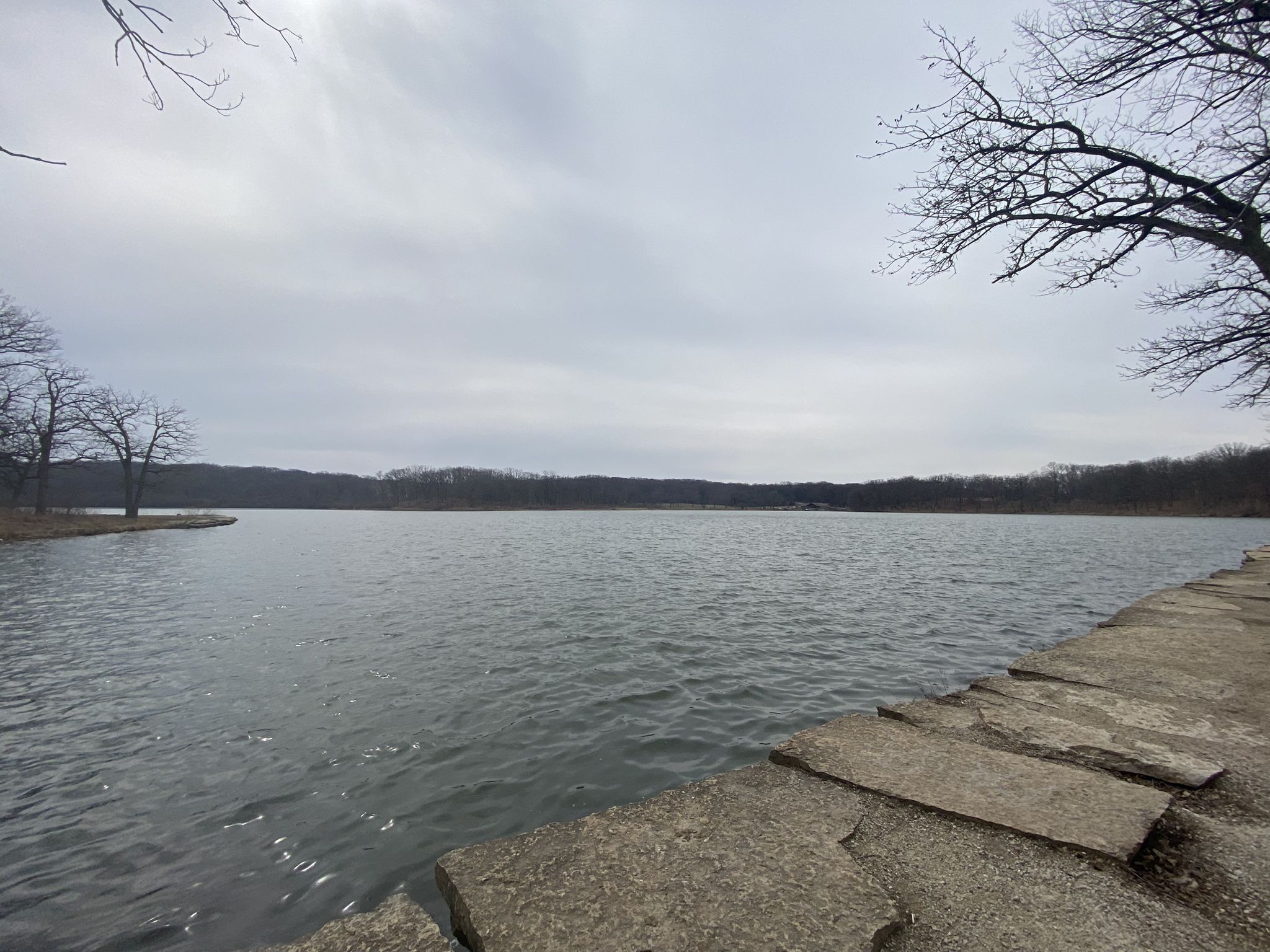 Overcast view of a lake with a concrete edge and bare trees. - Outer Loop