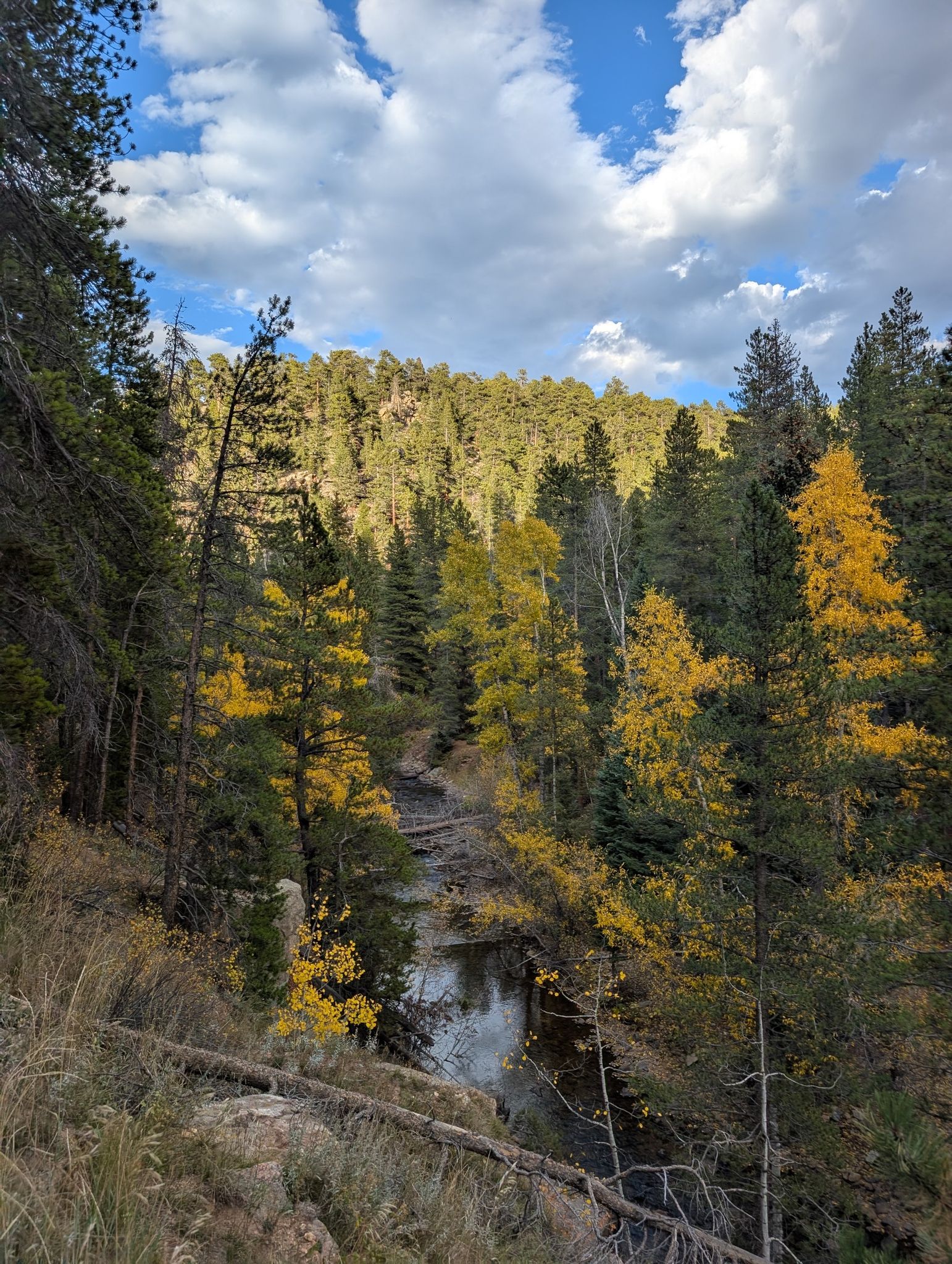 A river winds through a vibrant autumn forest under a partly cloudy sky. - Ceran St. Vrain Trail