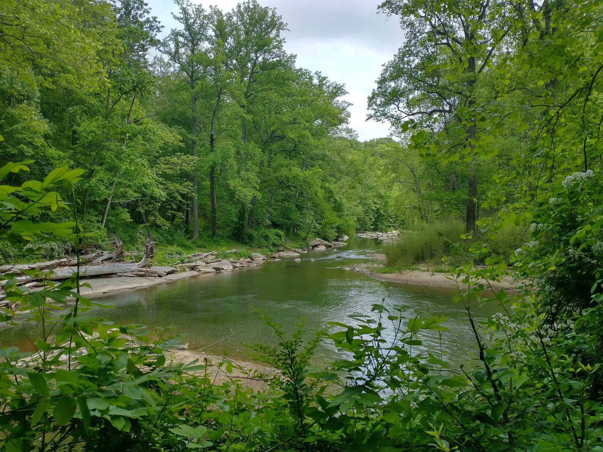 Two people by a calm river flowing through a lush green forest. - McKeldin Falls – McKeldin Rapids Trail loop from Patapsco Valley State Park