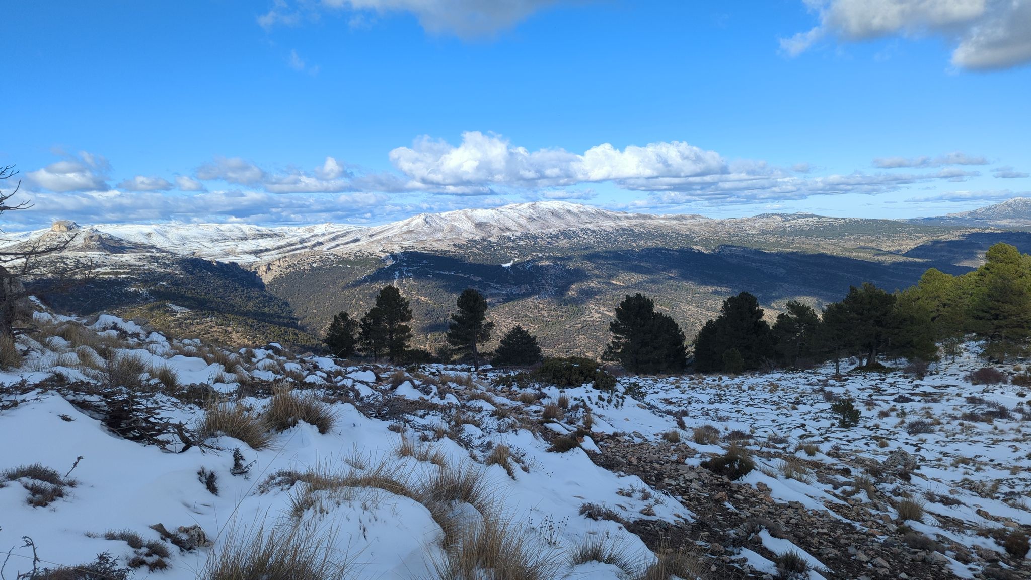 Collado de las Víboras