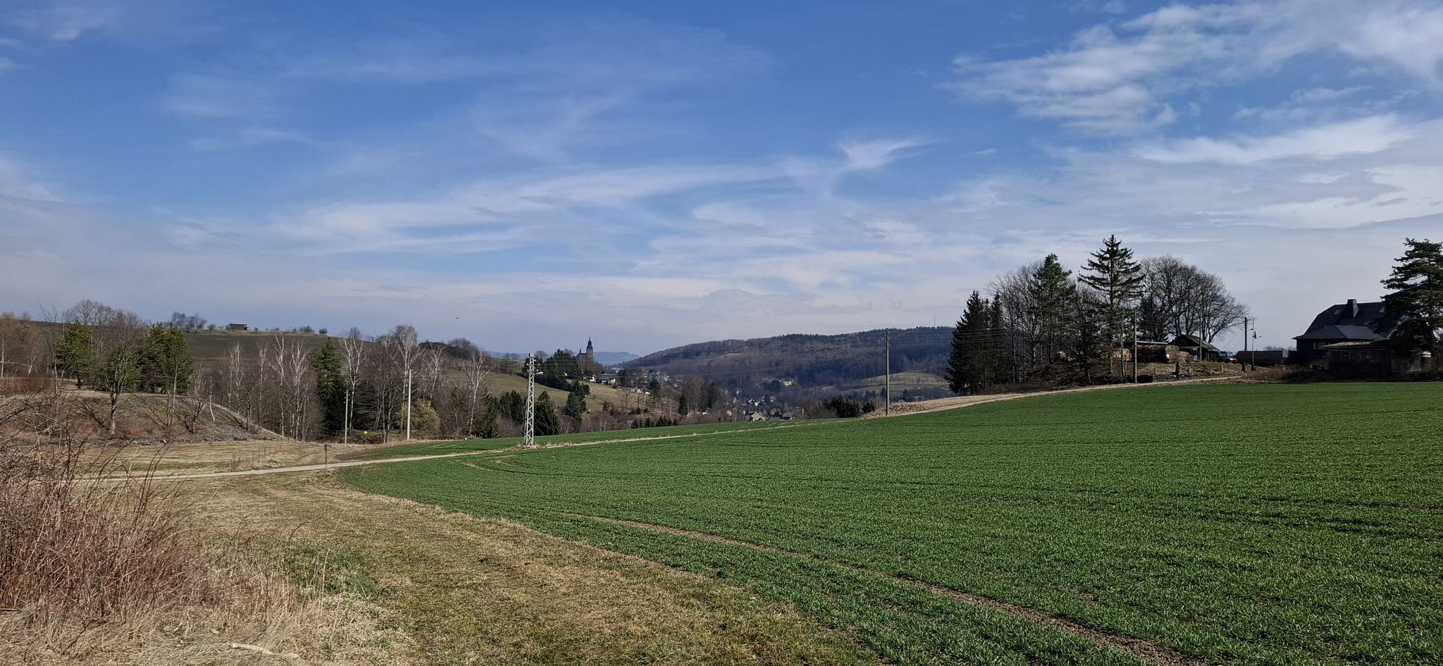 Blick zur Kirche St. Wolfgang in Schneeberg