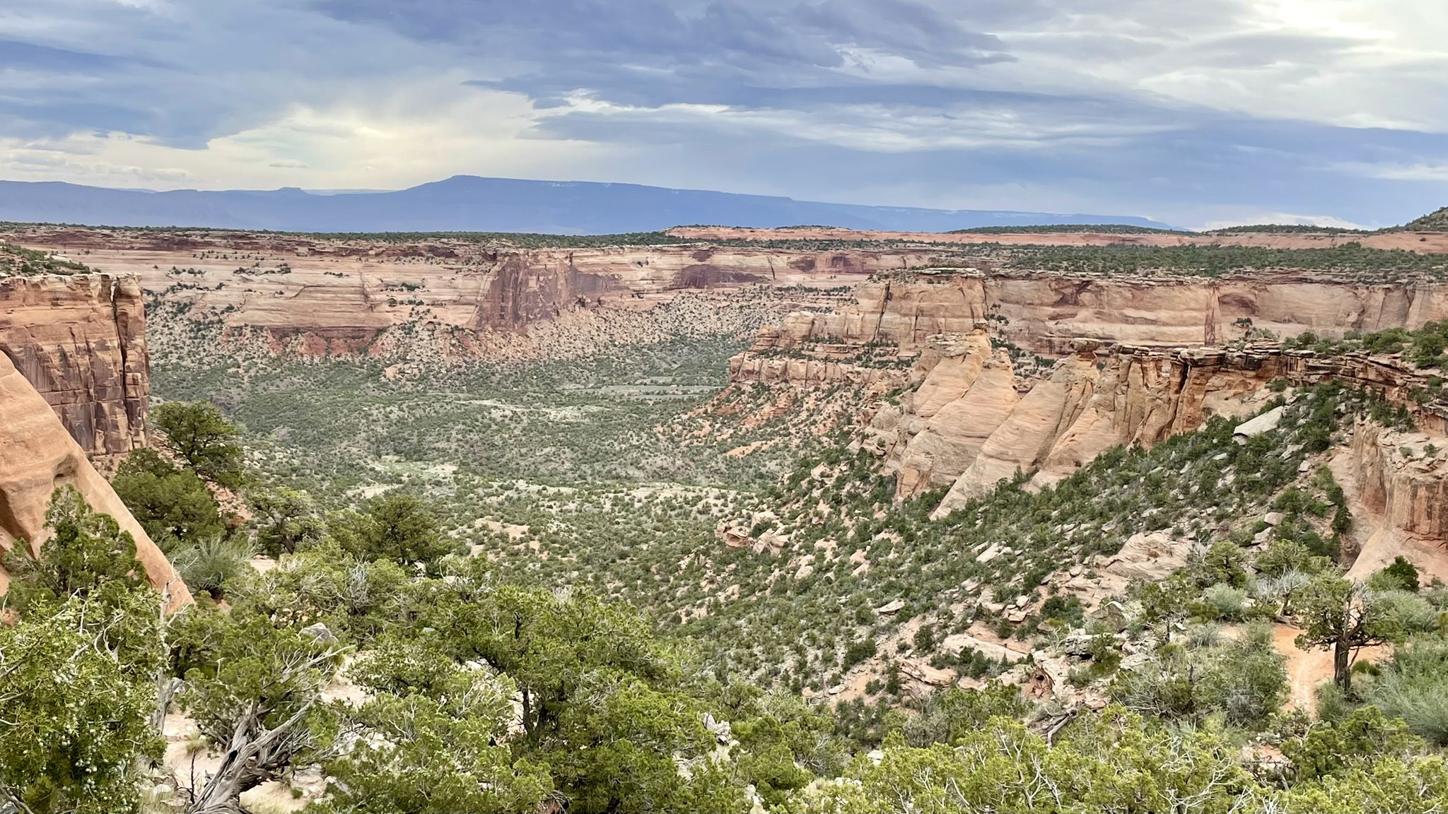 Wide canyon view with green valley floor, red rock walls, and distant mountains. - Coke Ovens Trail