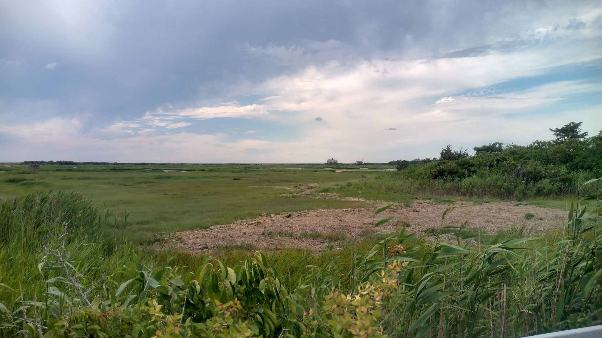 Wide view of a green and brown marsh under a cloudy sky. - Salt Pond loop from West Falmouth