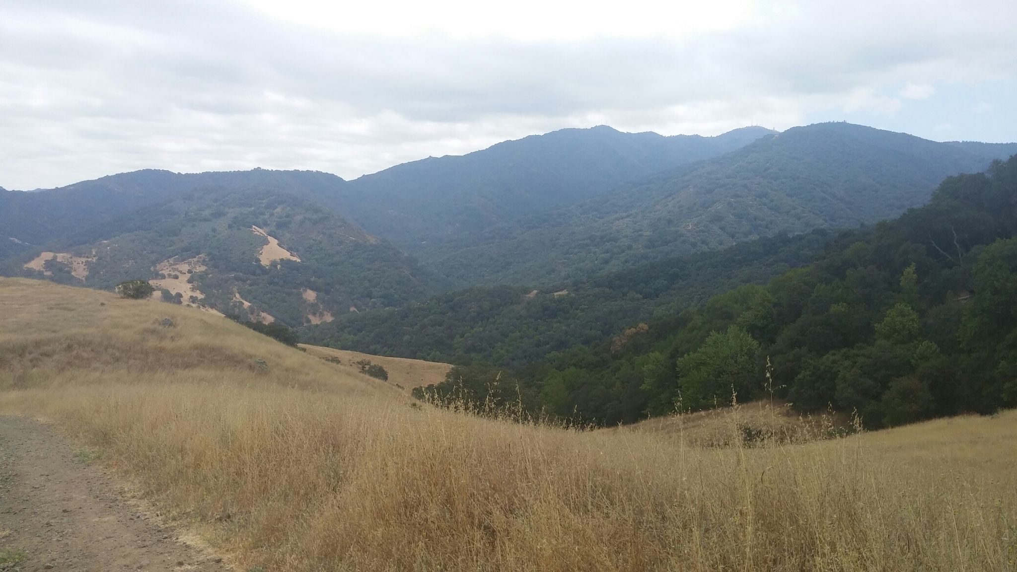 Dry grassy hillsides leading to dark green, forested mountains under a cloudy sky. - Woods Trail Trailhead – Mount Umunhum Road loop from Almaden Quicksilver County Park