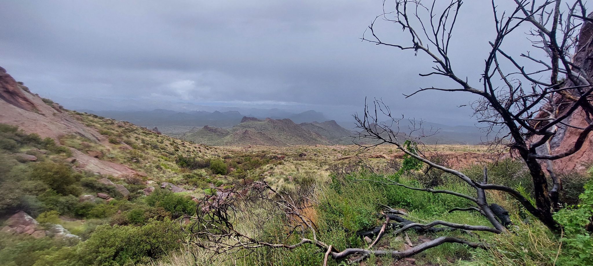 Cloudy desert landscape with distant mountains, green brush, and dead branches. - Massacre Falls via First Water Trailhead
