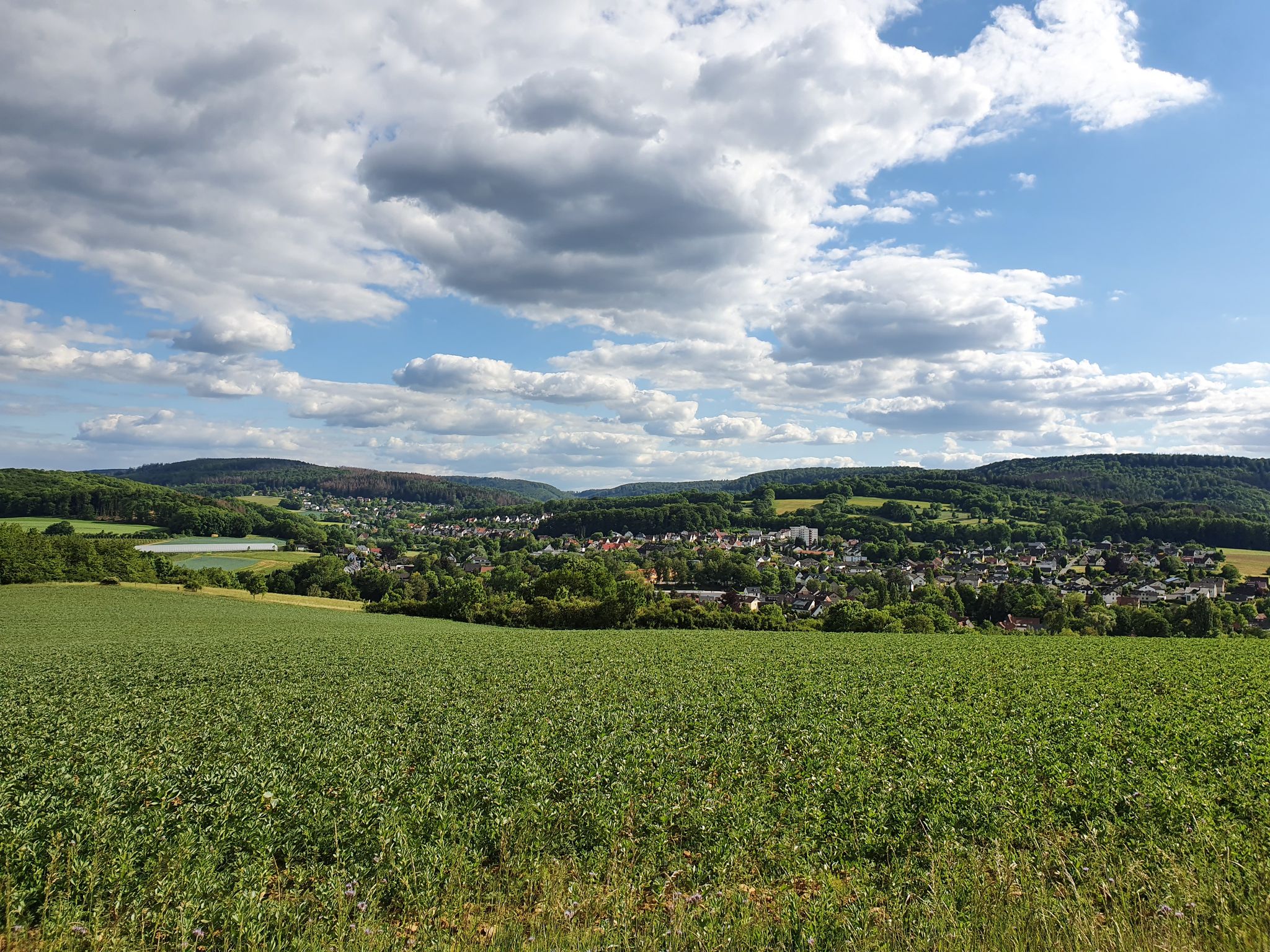 Ausblick vom Freilichmuseum