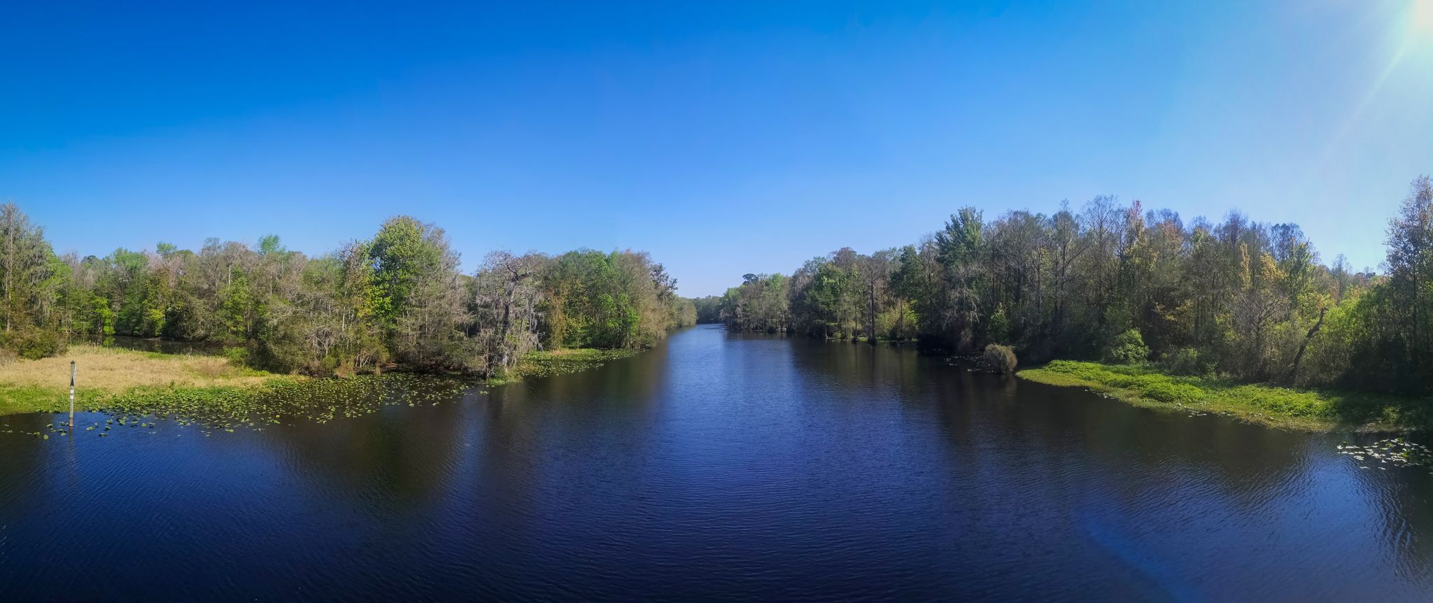 Panoramic view of a wide river flanked by dense trees under a bright sky. - Withlacoochee River Bridge – Withlacoochee State Trail loop from Dunnellon