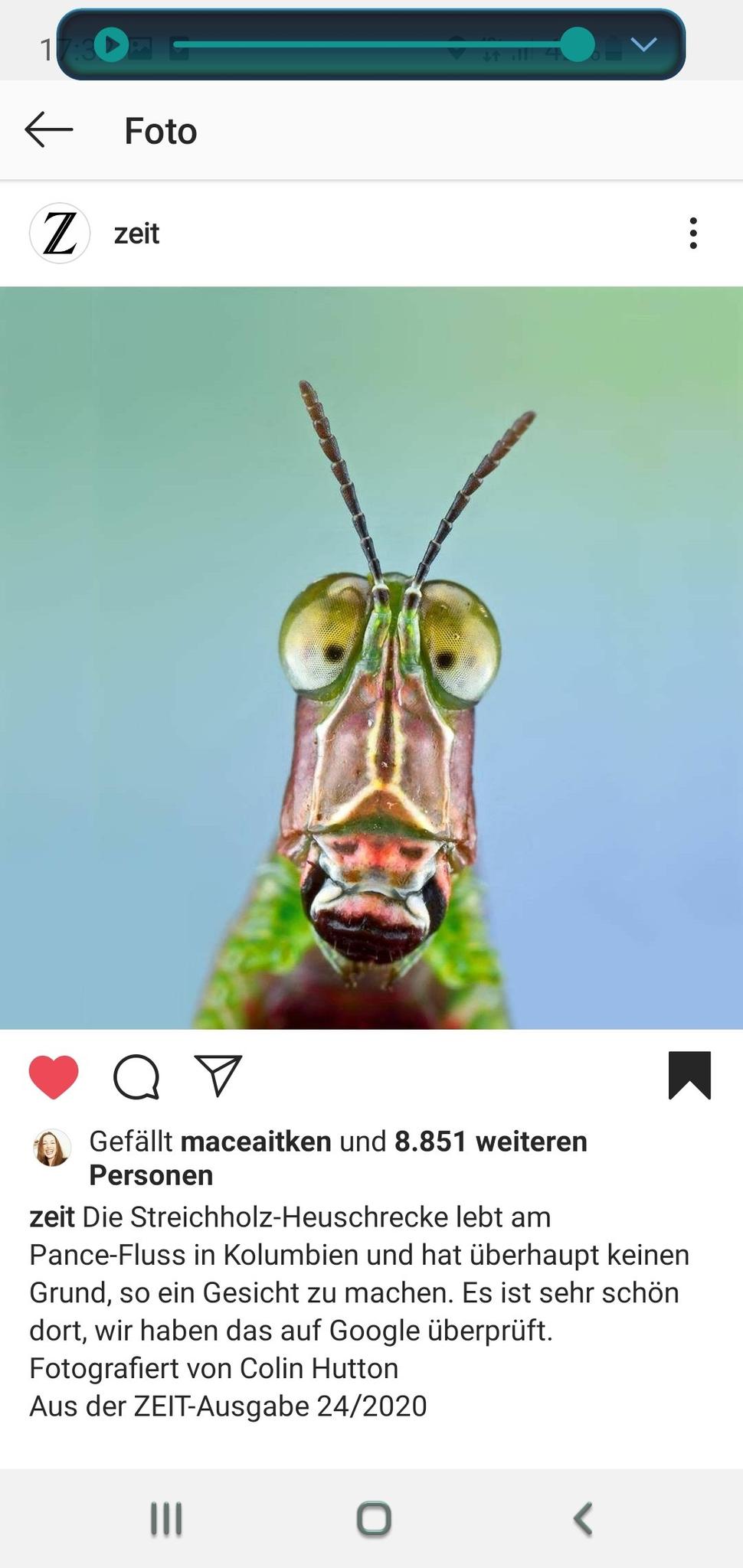 user avatar
