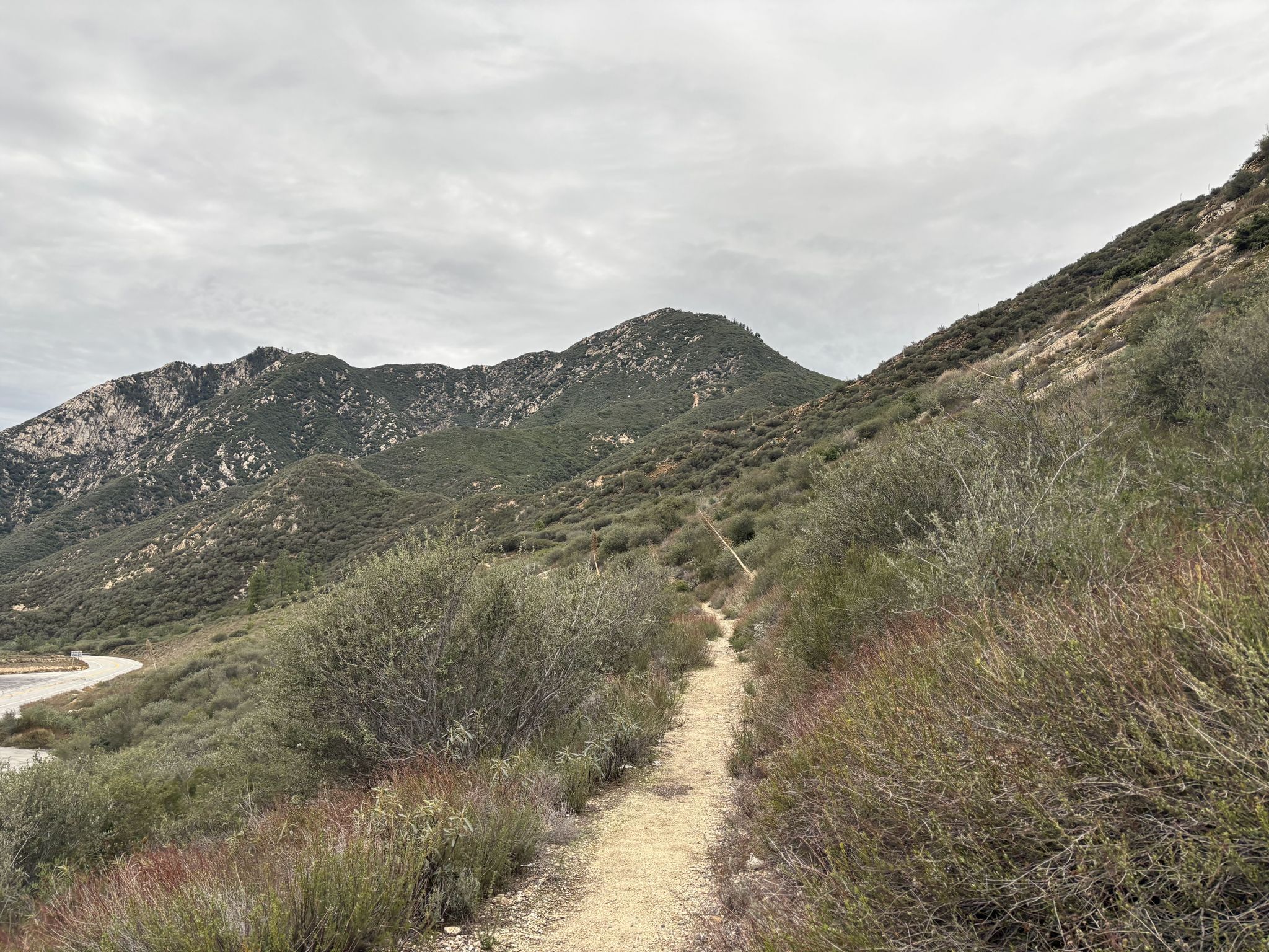 A narrow dirt trail winds through dry brush on a cloudy day. - Smith Mountain – Angeles National Forest