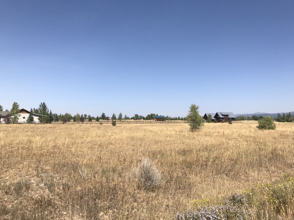 A wide golden field under a clear blue sky with distant houses. - Beautiful view – Teton Creek Drive loop from Alta