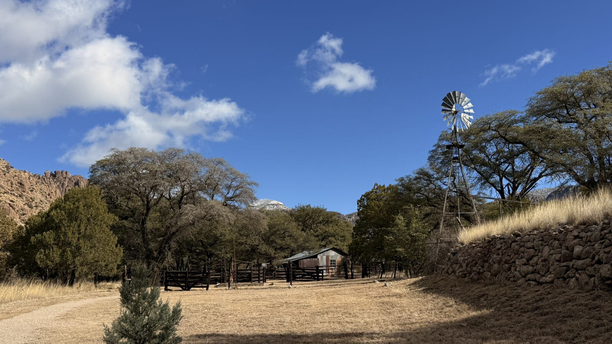 Old cabin and windmill in a sunny, dry field with trees. - Silver Spur Meadow Trail