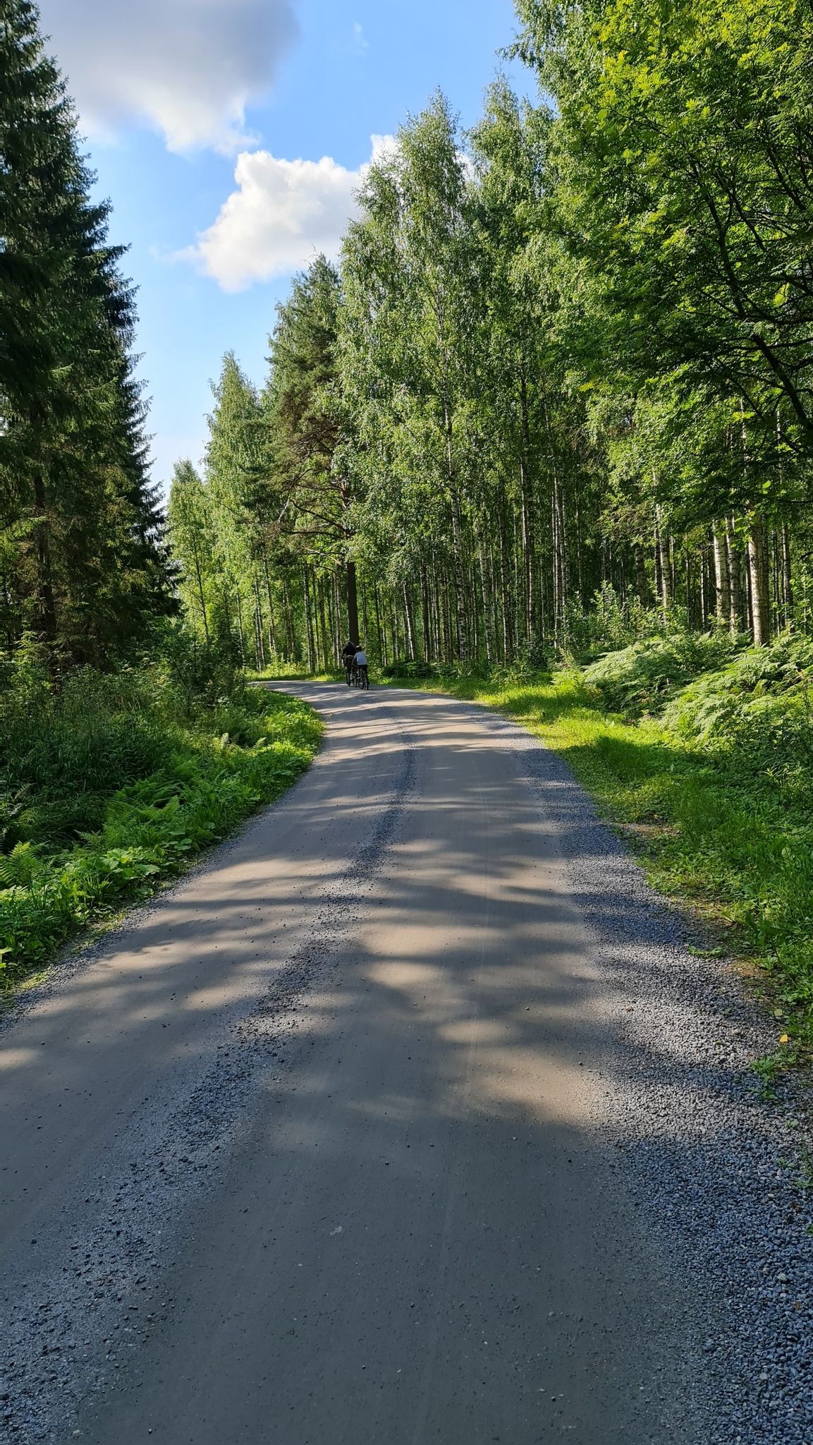 Wald