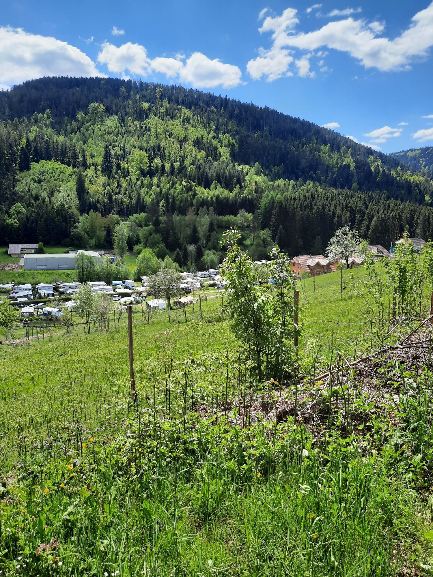 Kleinenzhof camping