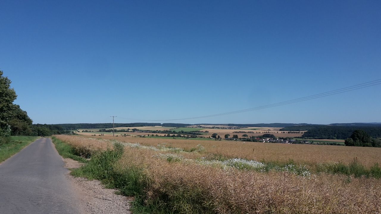 bei Bogel