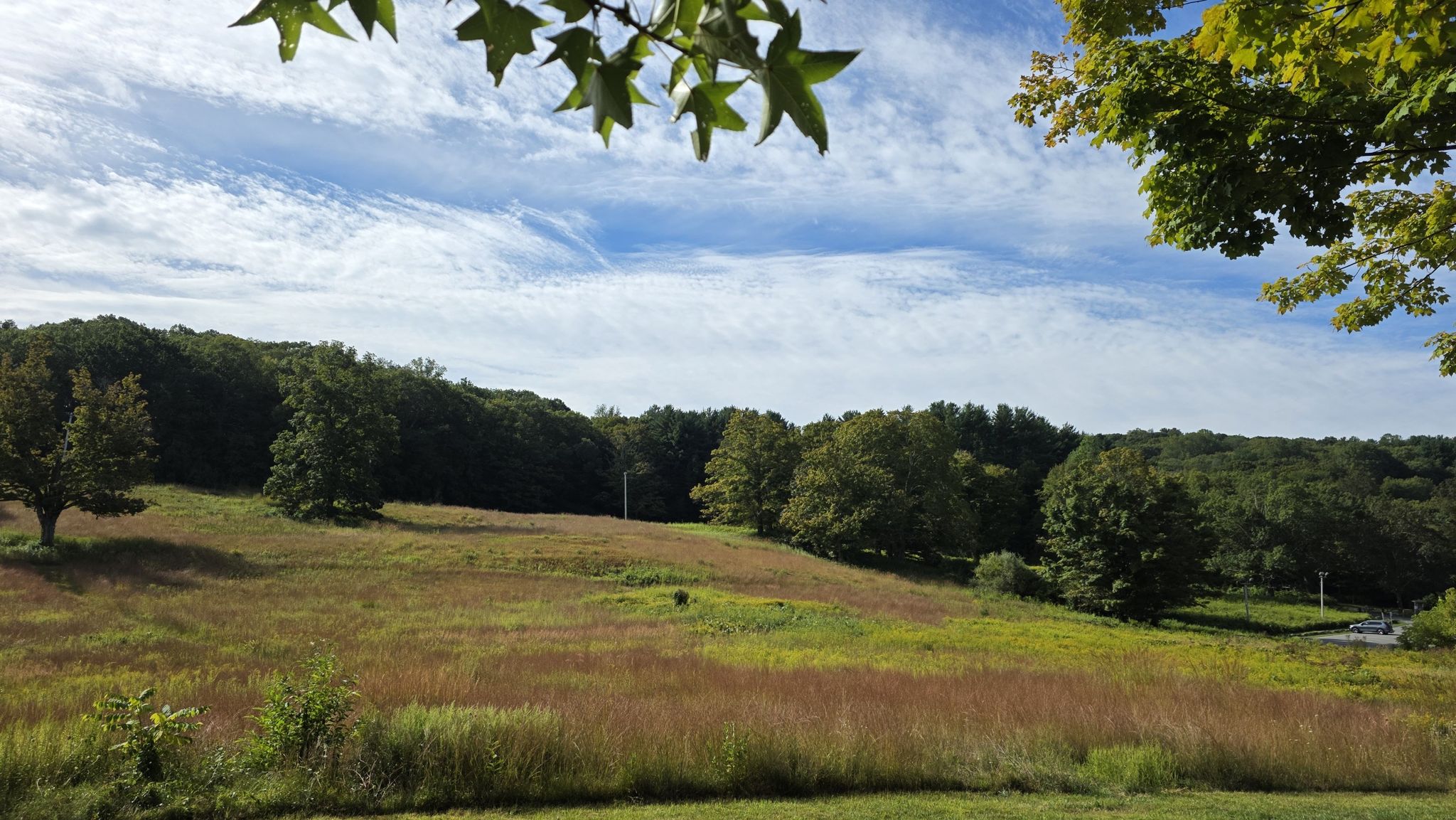 A wide grassy field with distant forests under a bright, partly cloudy sky. - Titicus Reservoir Loop