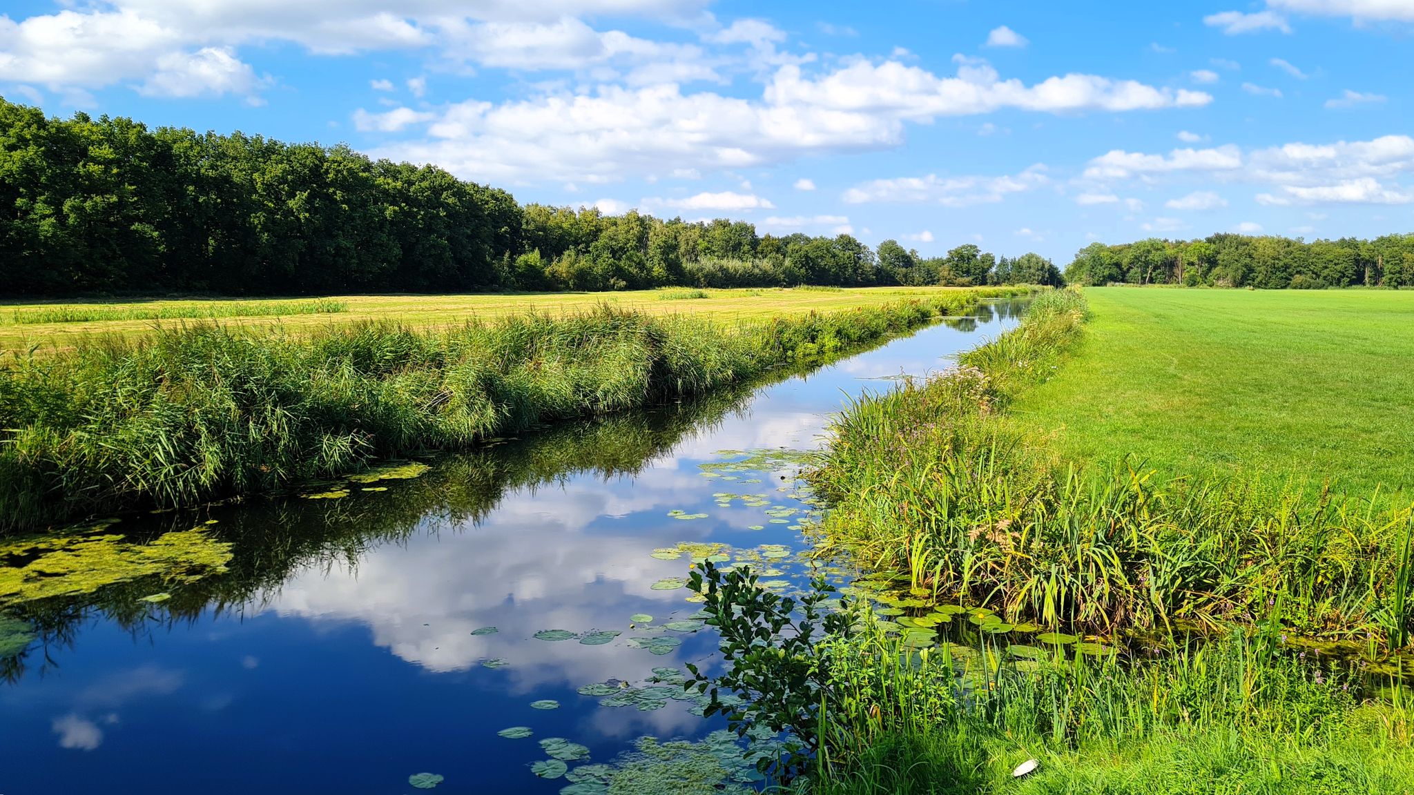 Veenwatering bei Wassenaar