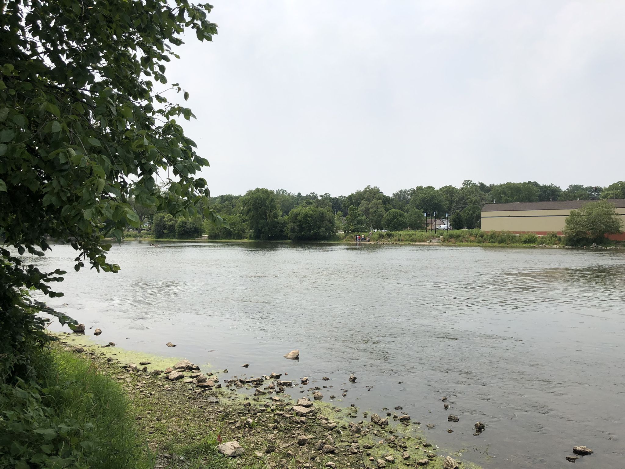A river with a rocky, mossy shore and trees under an overcast sky. - Fox River Trail – Stearns Road Trail bridge loop from South Elgin