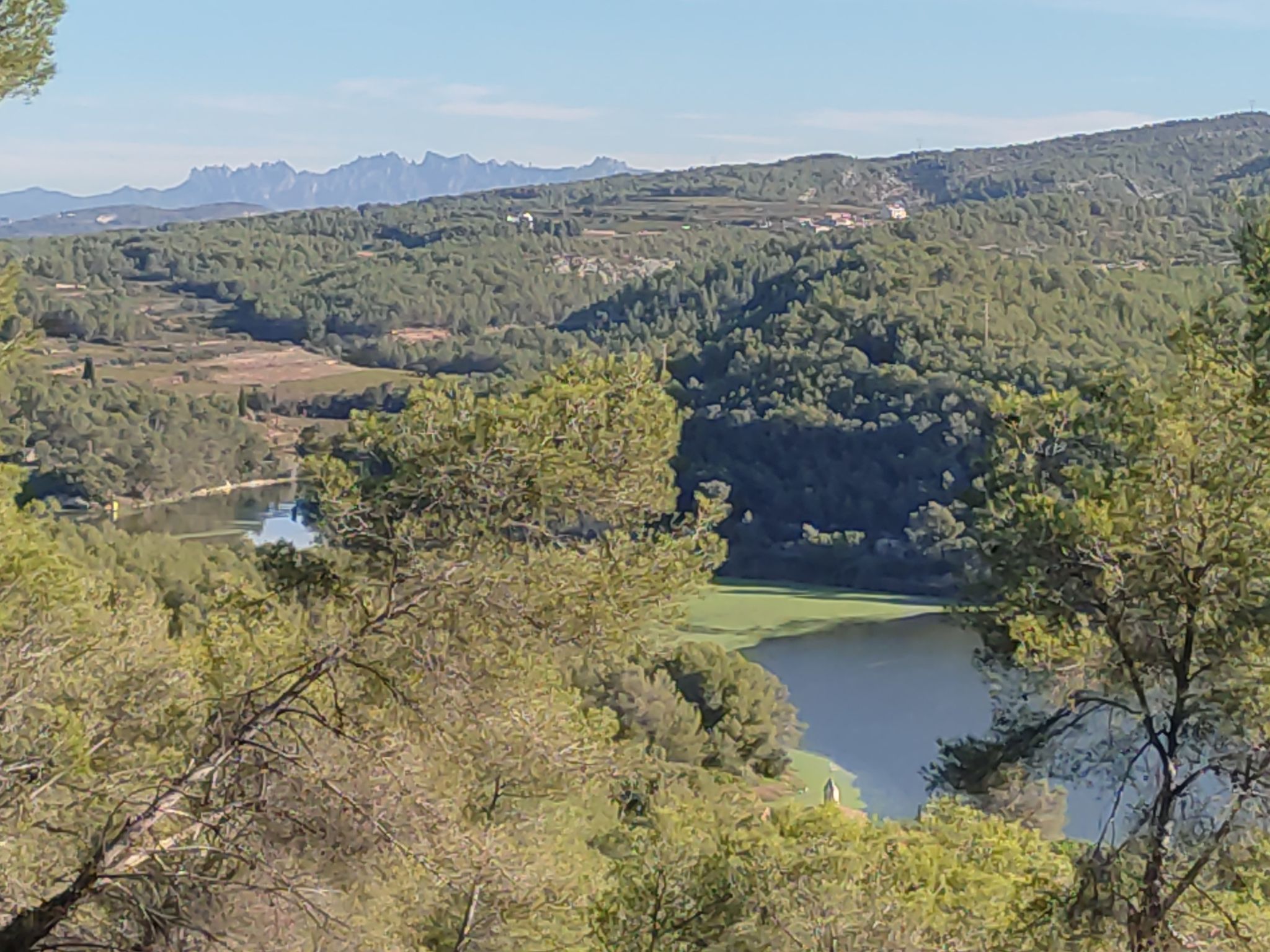 trenca rocas panta