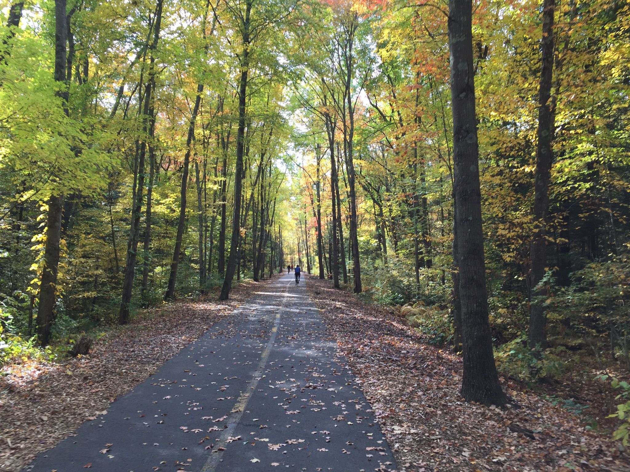 Paved path through a forest with autumn foliage, with distant figures walking. - Farmington Canal Heritage Trail Loop