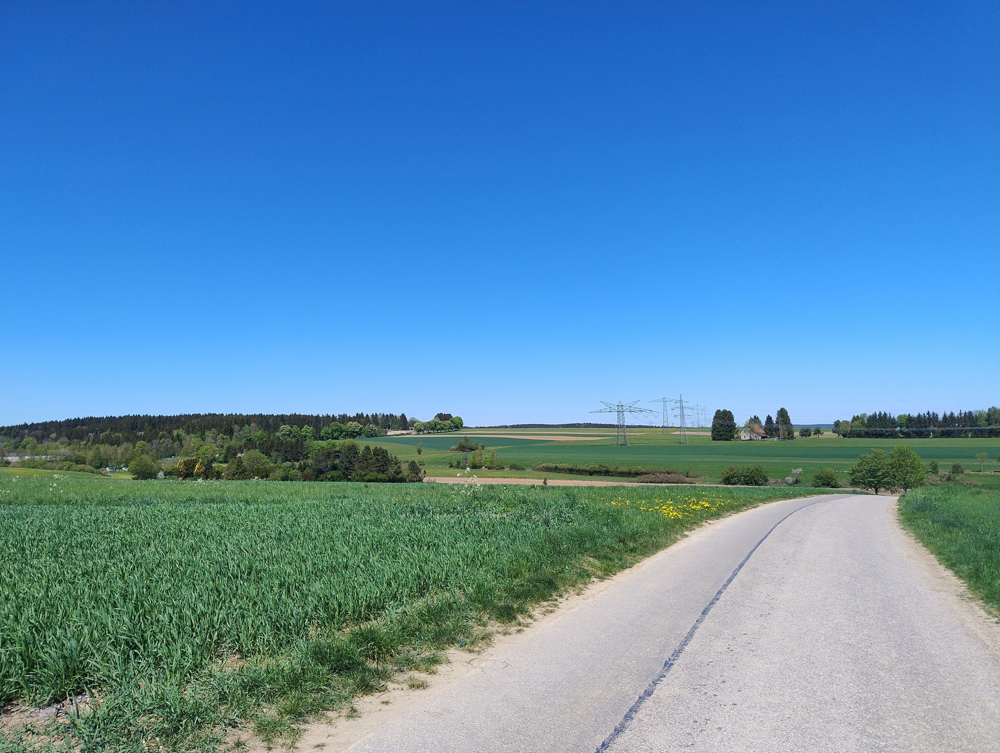 Richtung Brigachtal