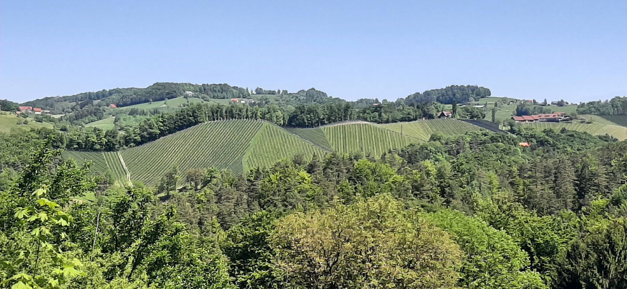 Eichberg