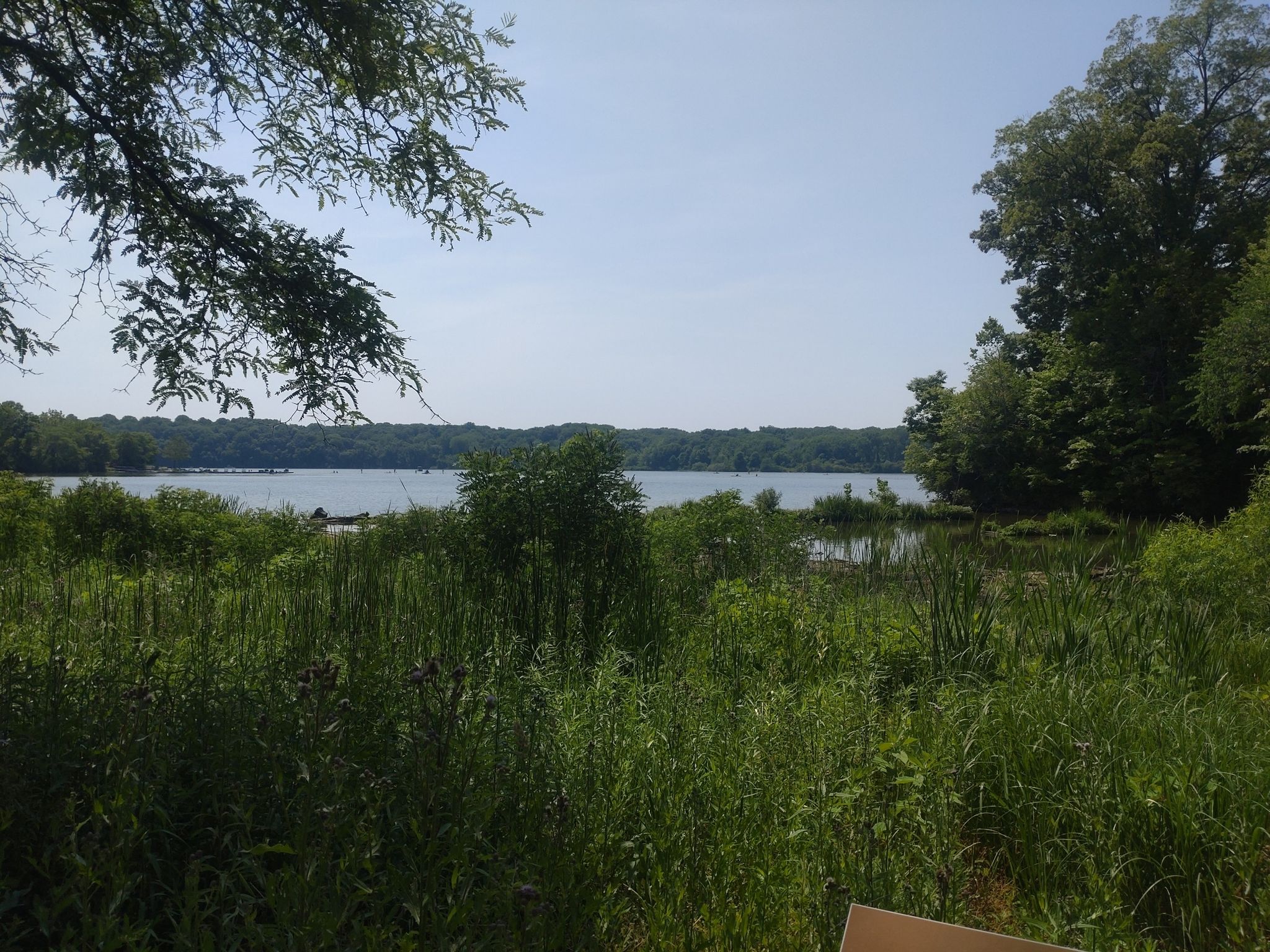 A sunny view of a lake with lush green foreground and distant trees. - Edesess Trail