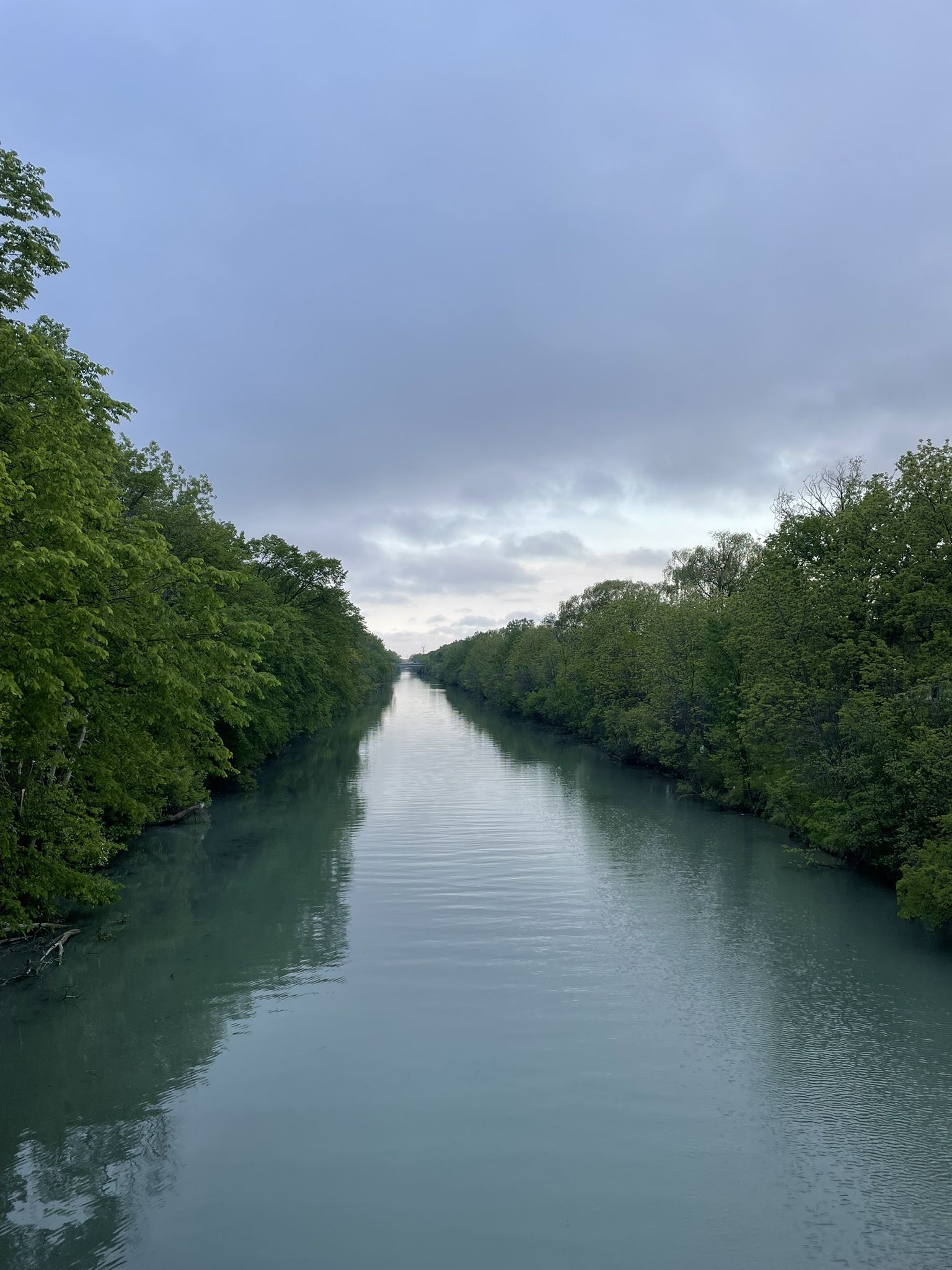 A calm, straight canal lined with lush green trees under a cloudy sky. - North Shore Channel Trail