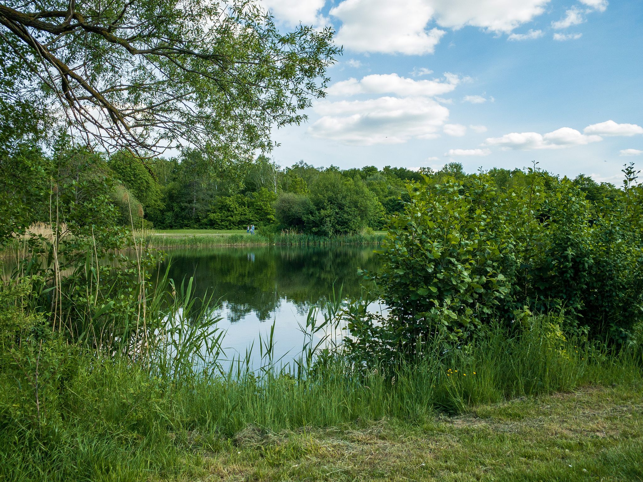 Thielenburger See (I)