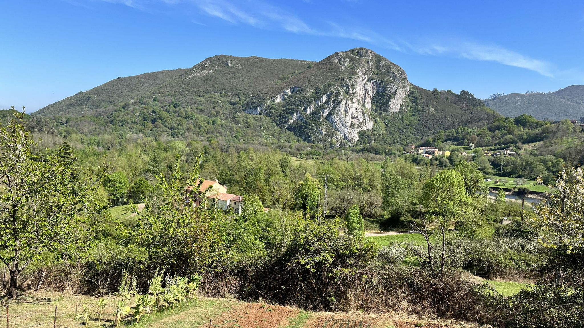 Peña Avis