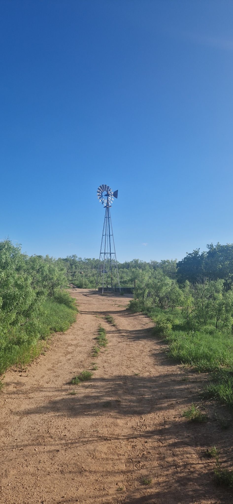 A windmill stands at the end of a dirt road under a clear blue sky. - Lower Bluff Trail loop