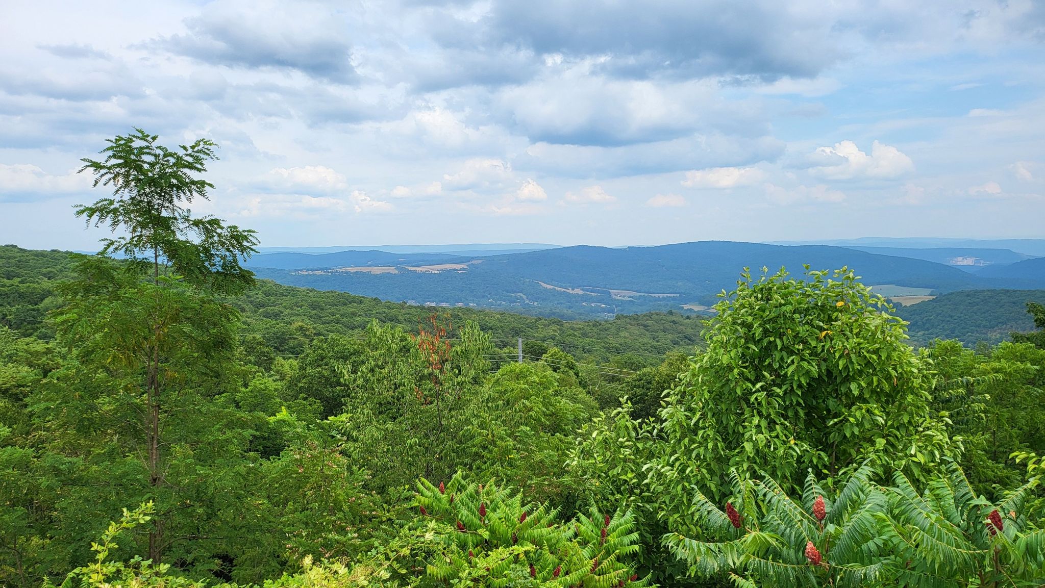 Expansive green forested hills and valleys stretch under a cloudy sky. - Mason-Dixon Line Monument – Big Savage Tunnel loop from Saint Mary Catholic Church