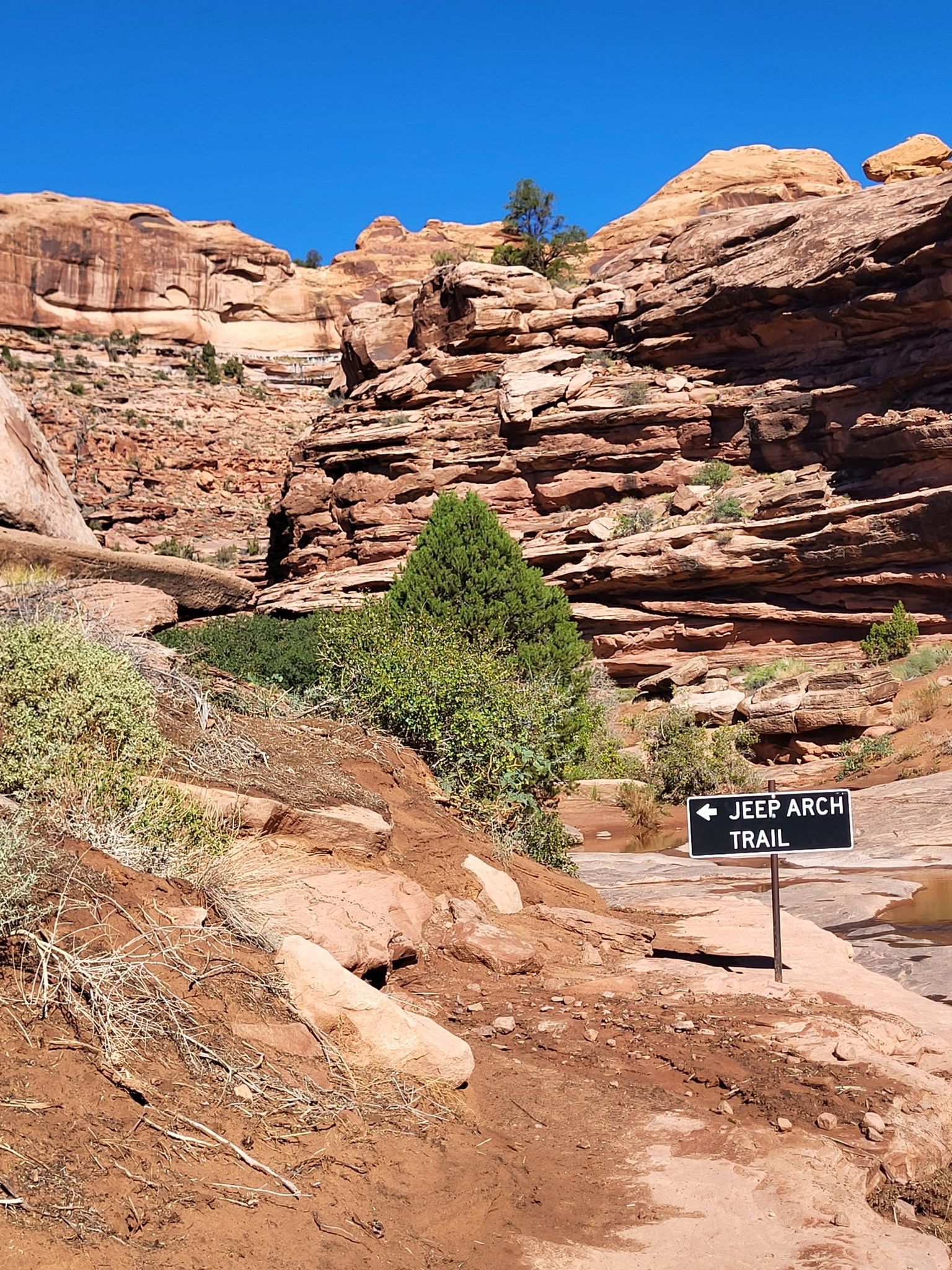 Red rock canyon with green bushes, a trail sign, under a clear blue sky. - Jeep Arch Trail