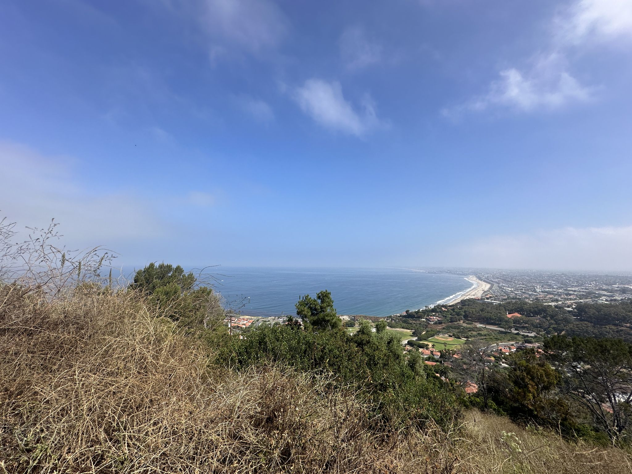 Elevated panoramic view of a curving coastline, ocean, and distant town. - Olmsted Creek and Del Sol Fire Road Loop