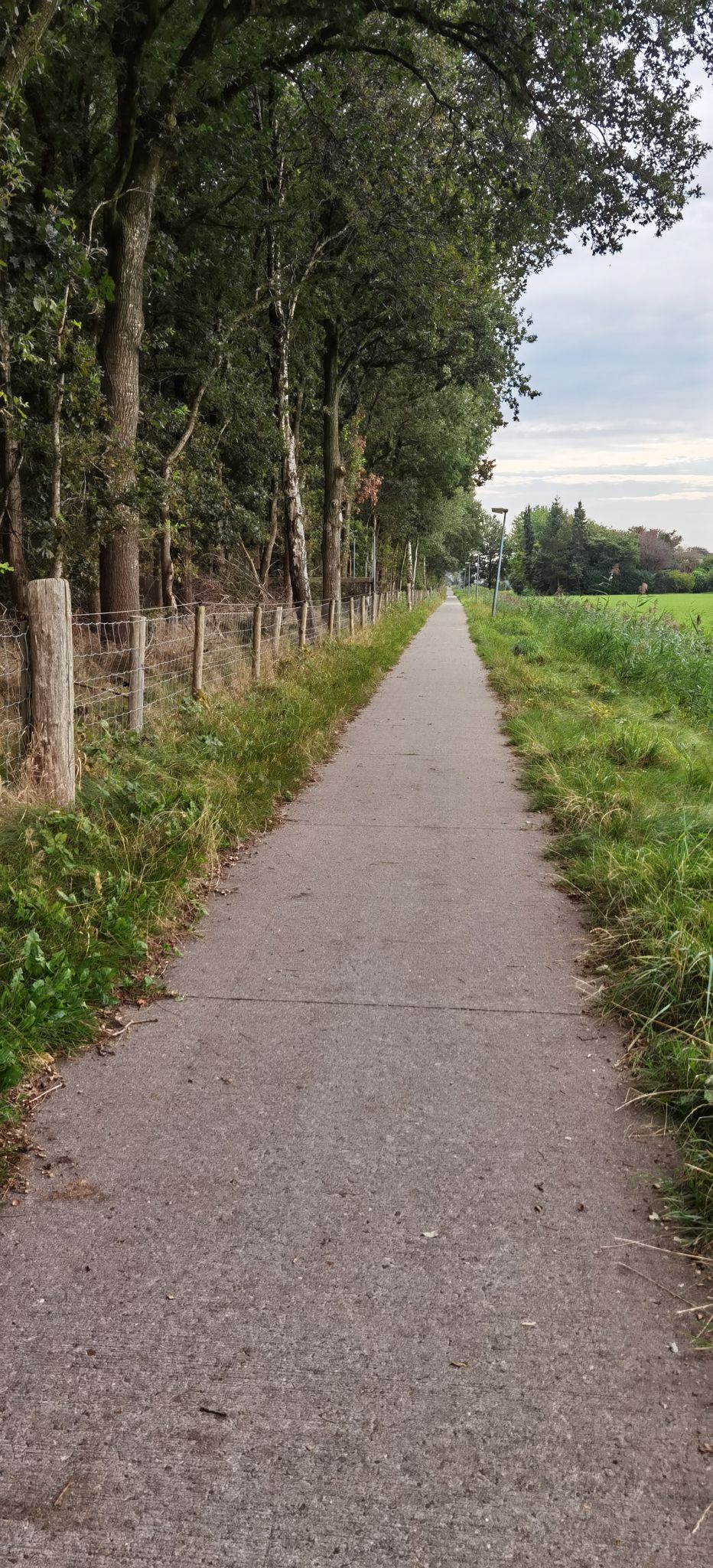 Radweg