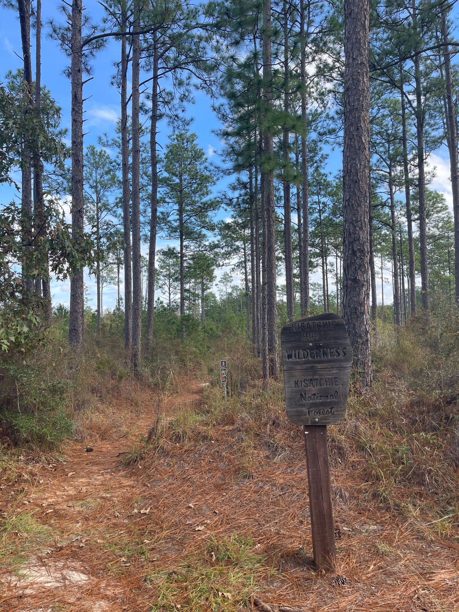 Wooden trail sign on a sunny dirt path through a tall pine forest. - Backbone Trail Loop