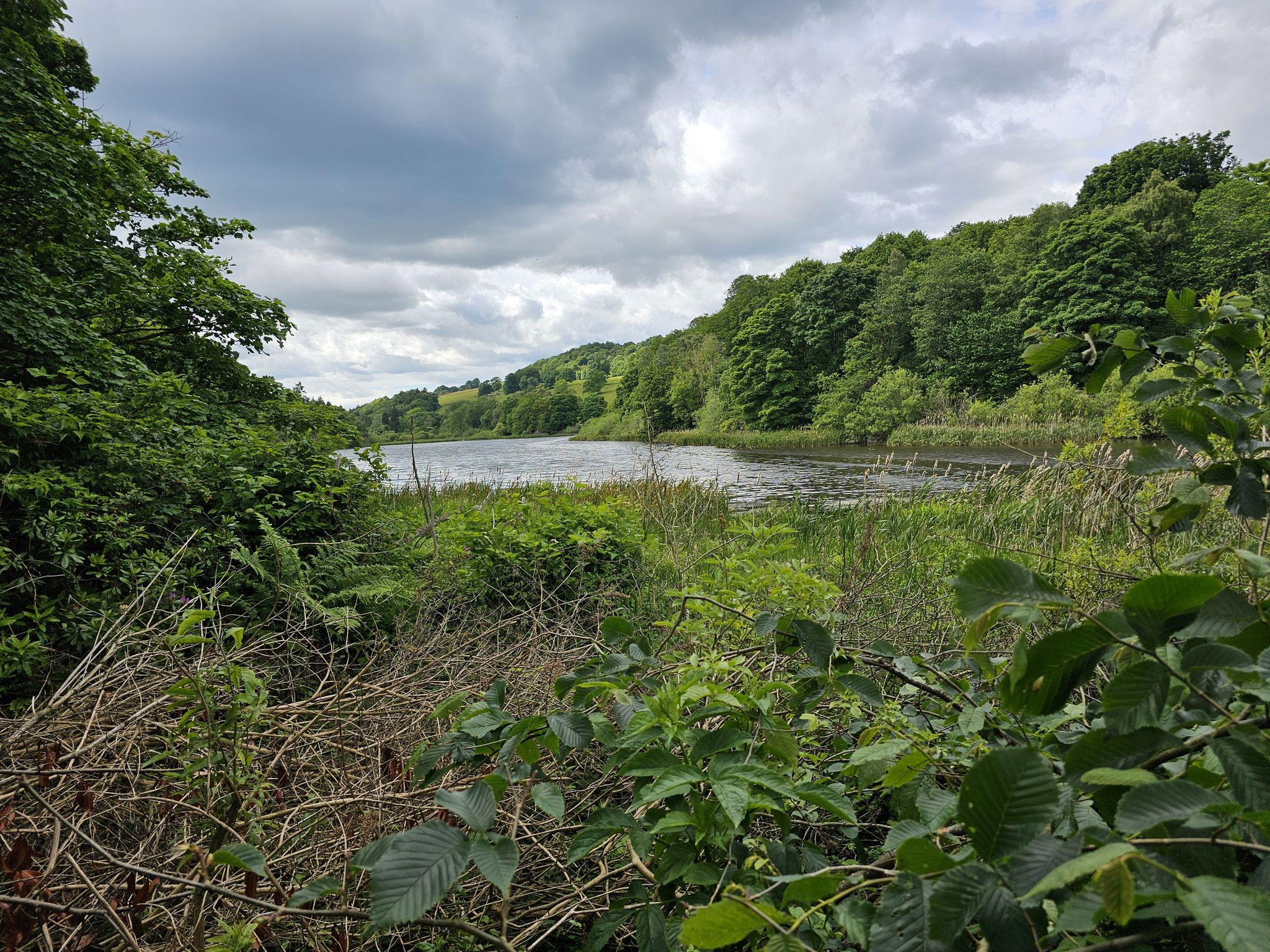 Raith Lake