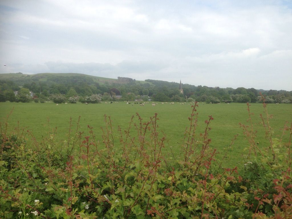 Scorton 