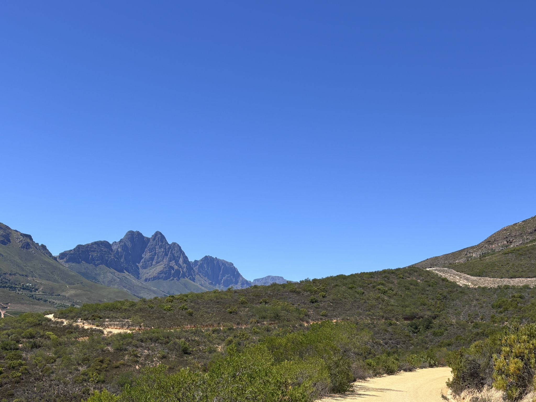 Die vielen hübschen Wege am Stellenbosch Mountain, heute fast nix los 🤗