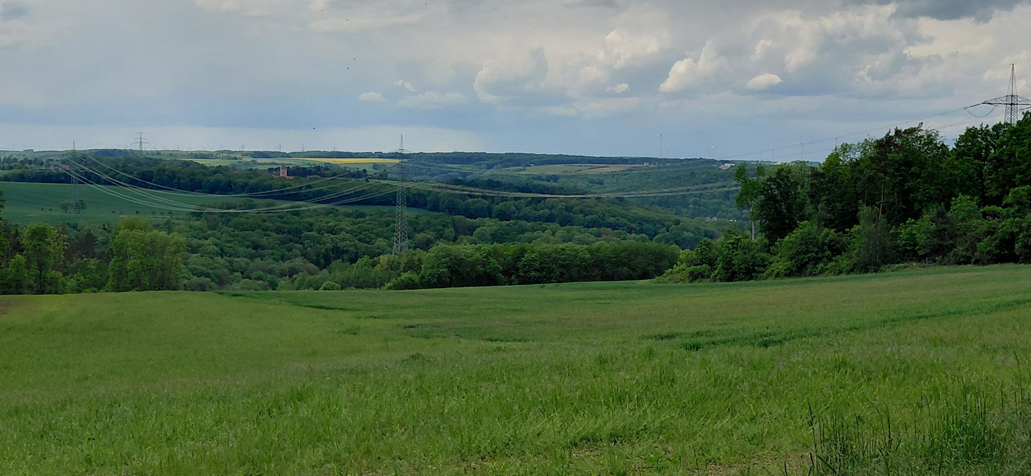 Blick zur Heinzburg
